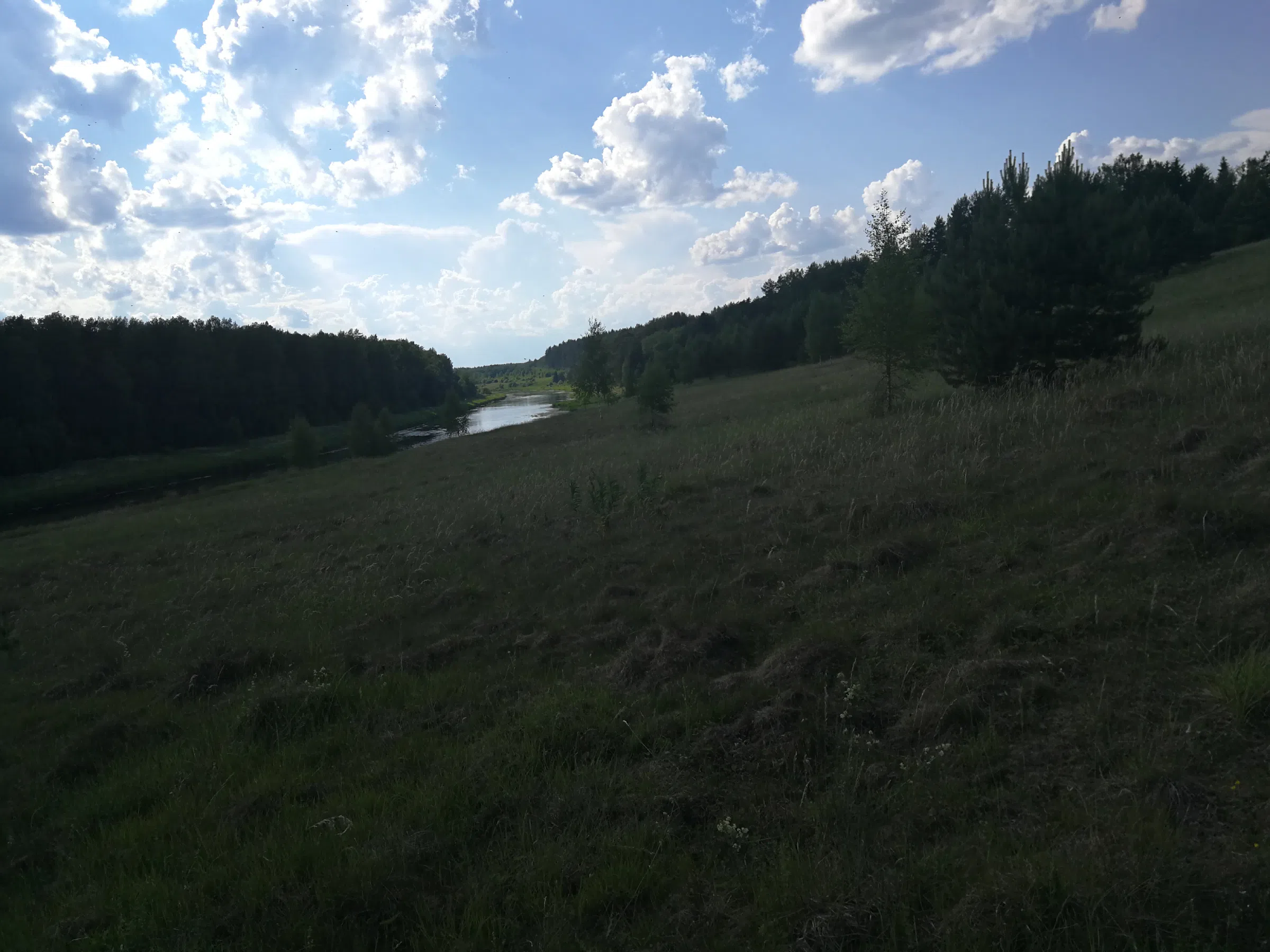 Поля с рекой у леса, фото 9