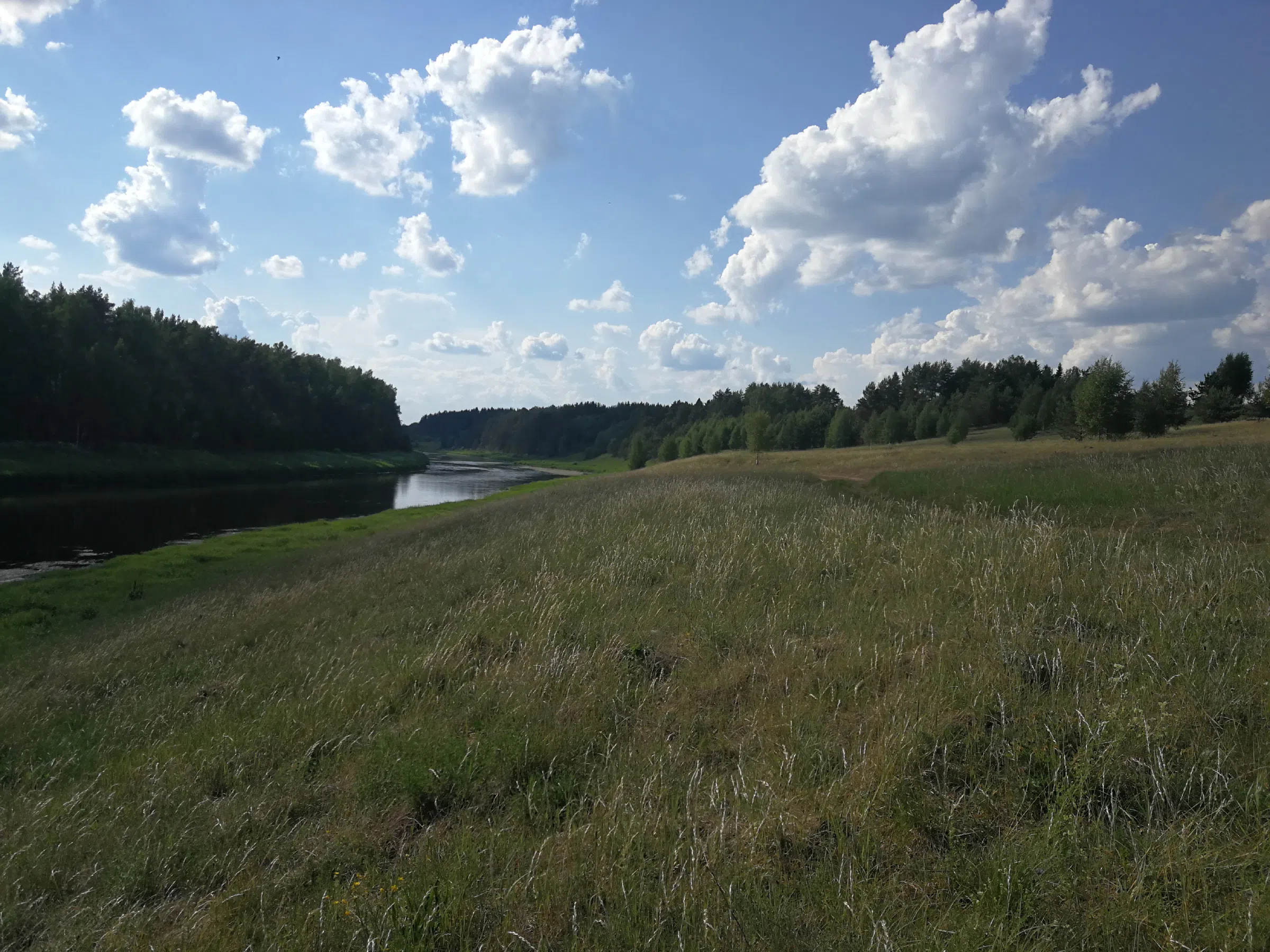 Поля с рекой у леса, фото 1