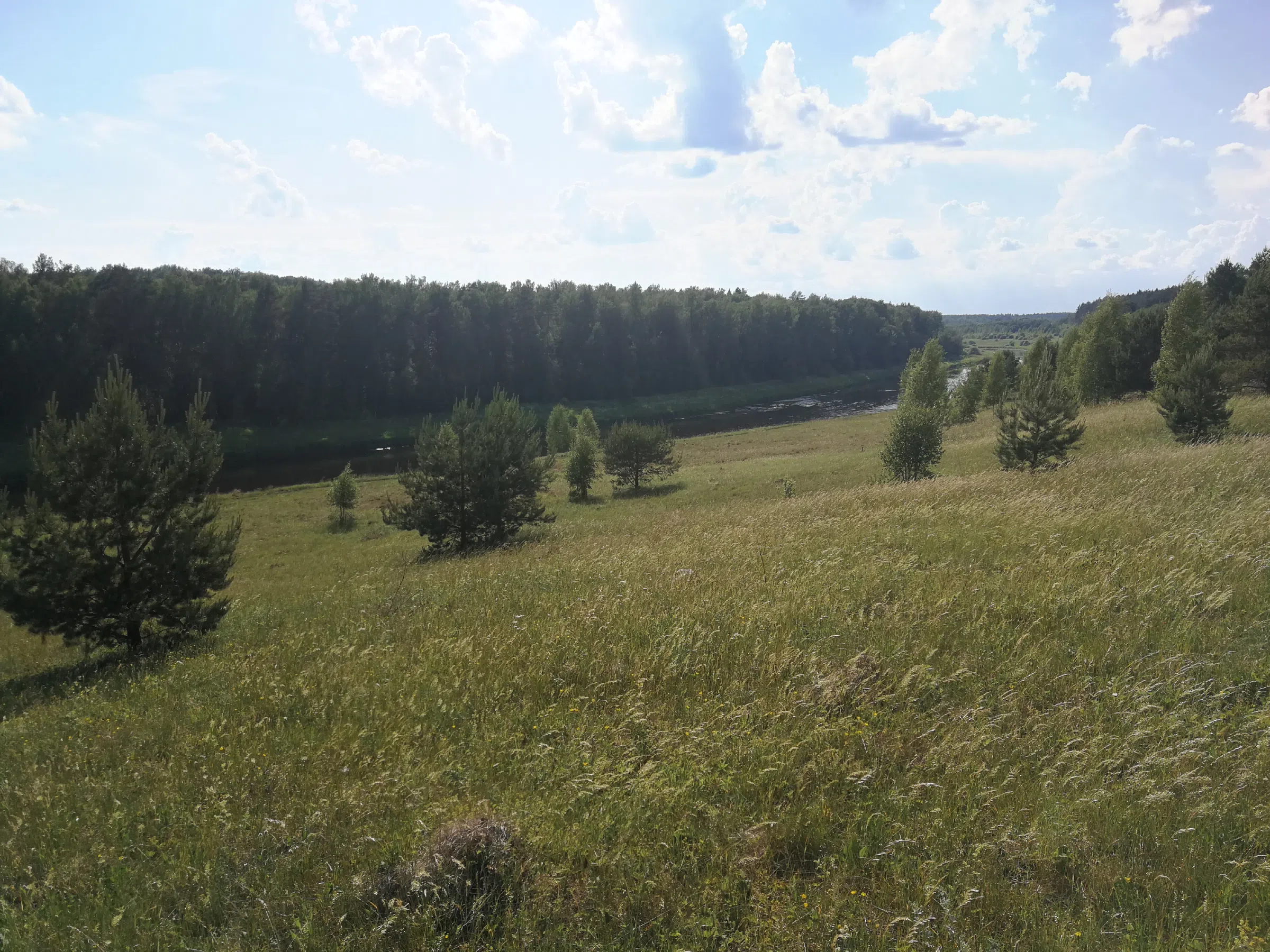 Поля с рекой у леса, фото 13