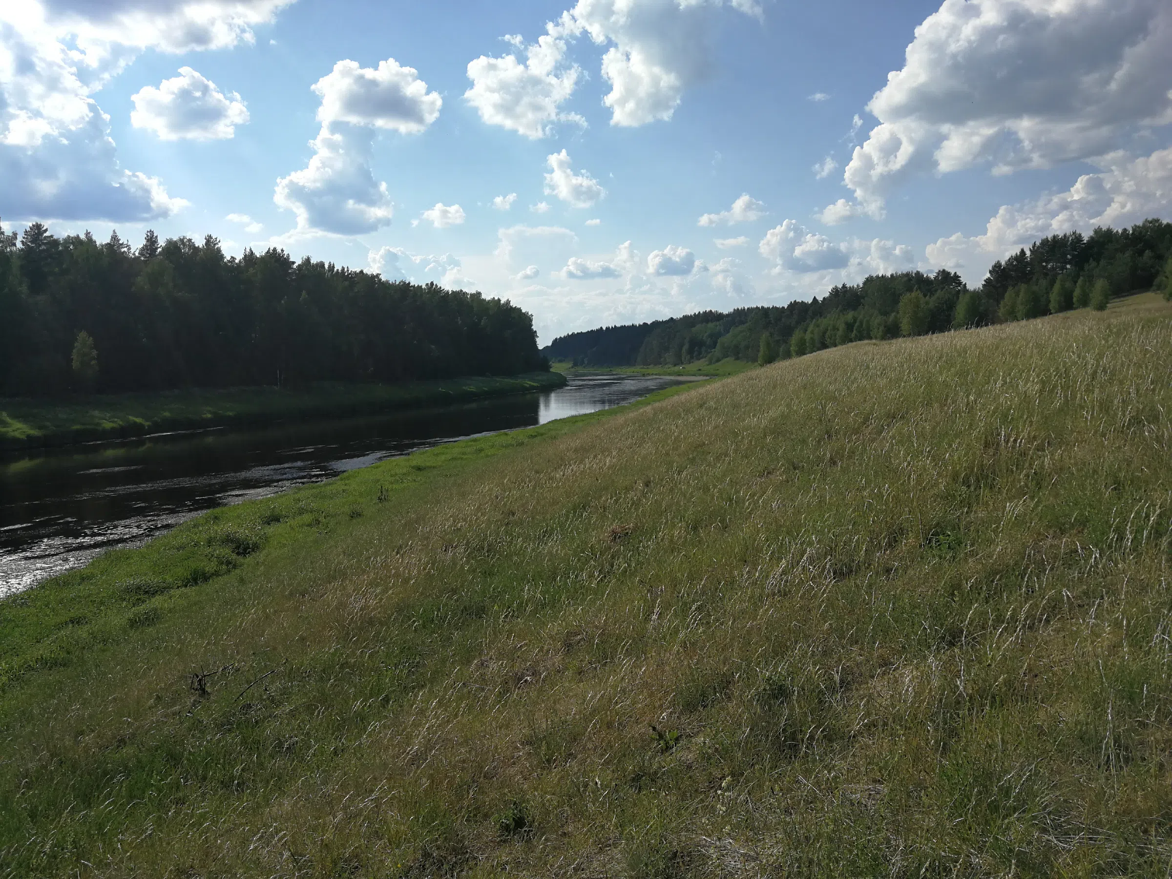 Поля с рекой у леса, фото 5