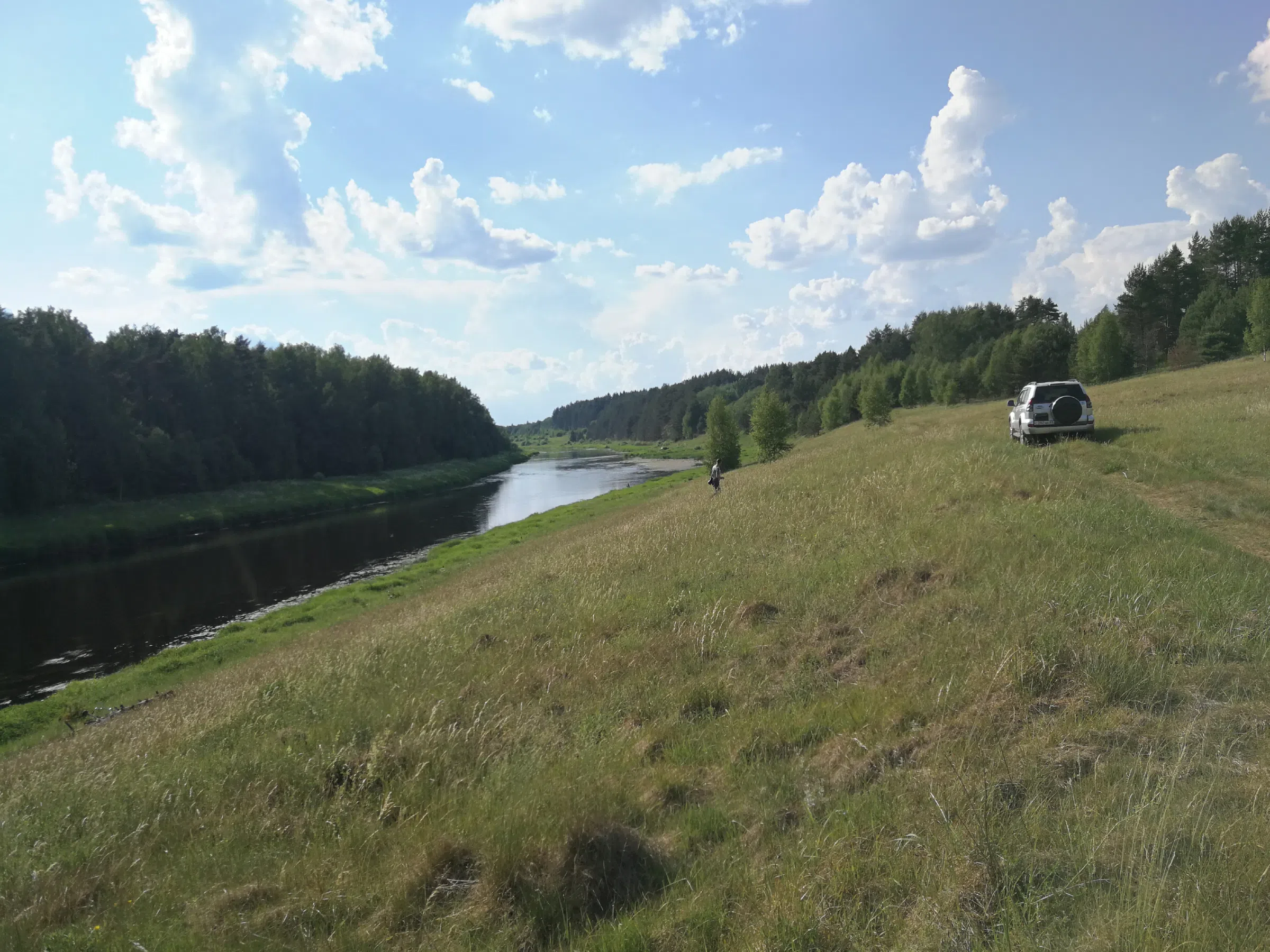 Поля с рекой у леса, фото 17