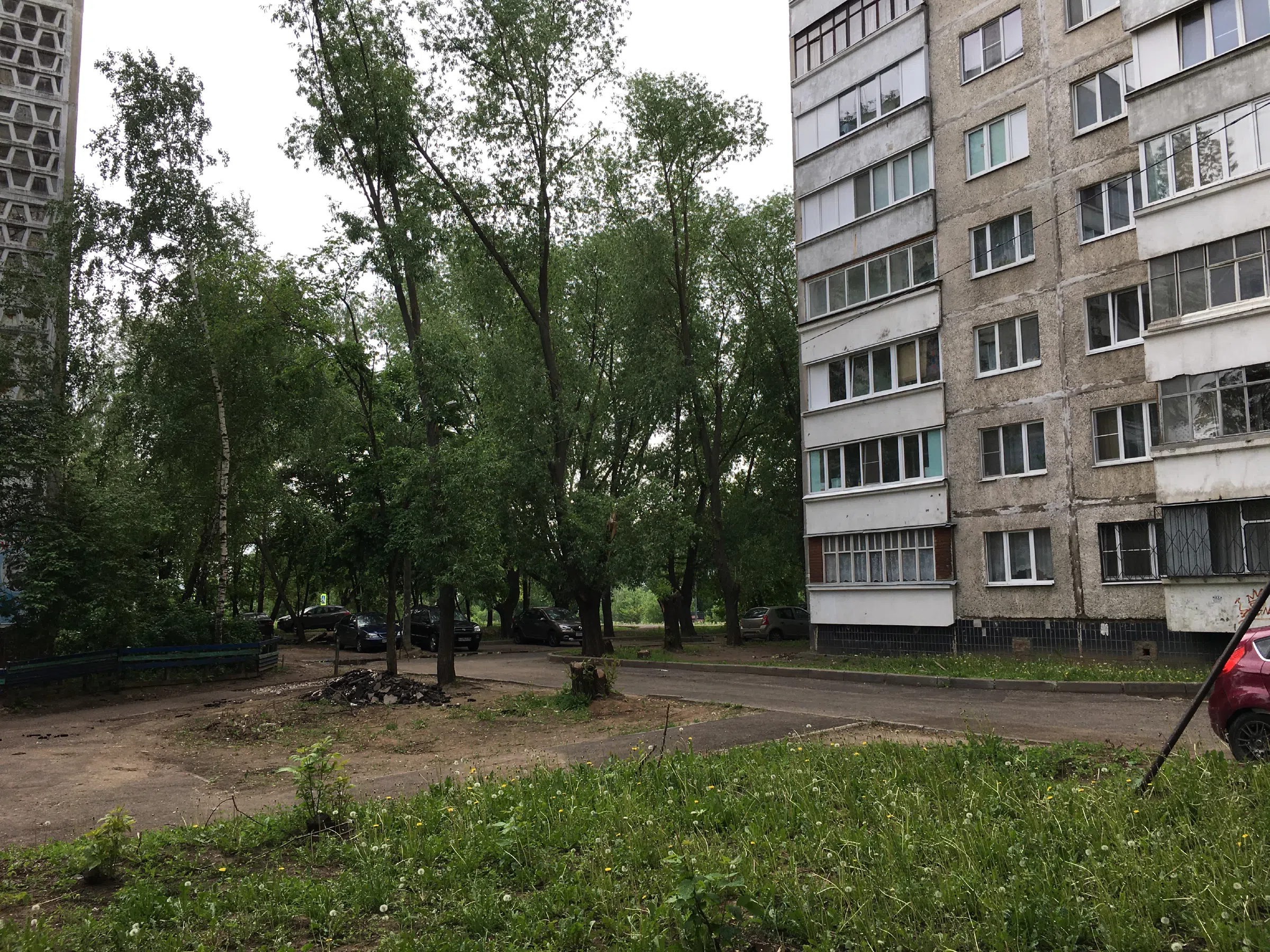 Хрущёвка у парка, фото 4