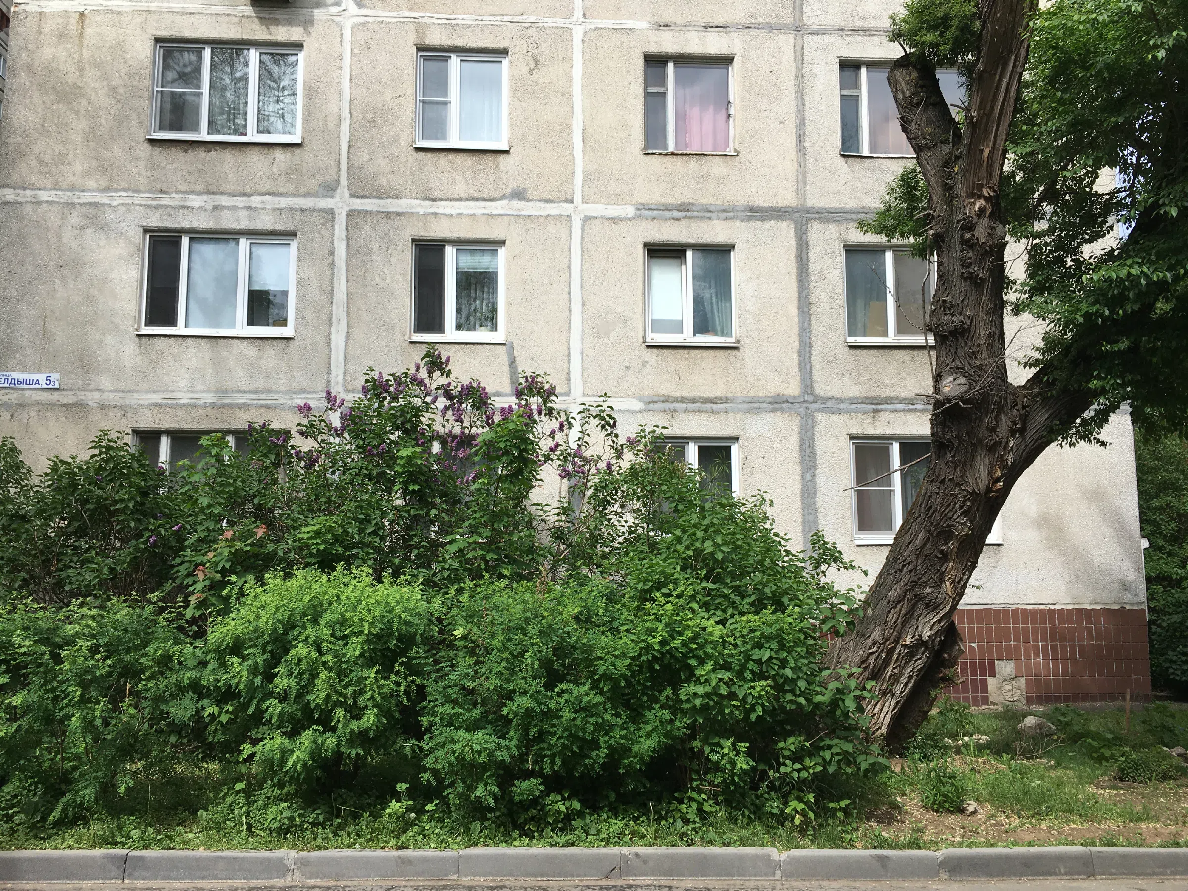 Хрущёвка у парка, фото 9