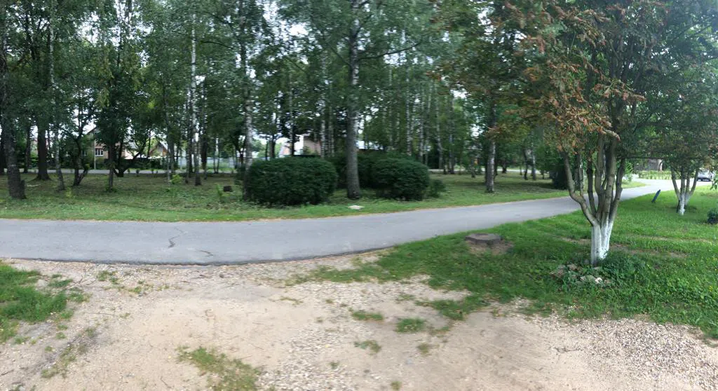Дача с синим забором, фото 5