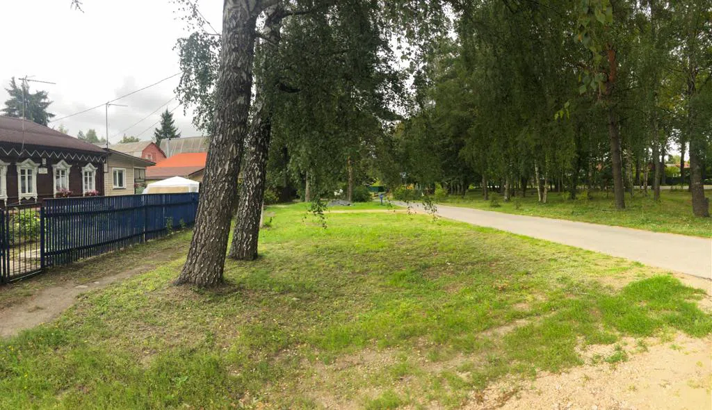 Дача с синим забором, фото 4