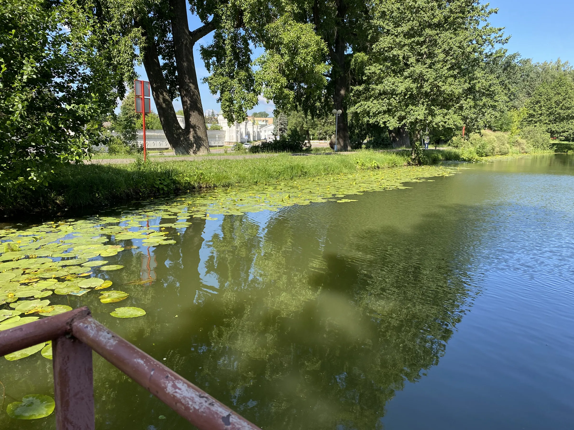 Парк у пруда с лилиями, фото 22