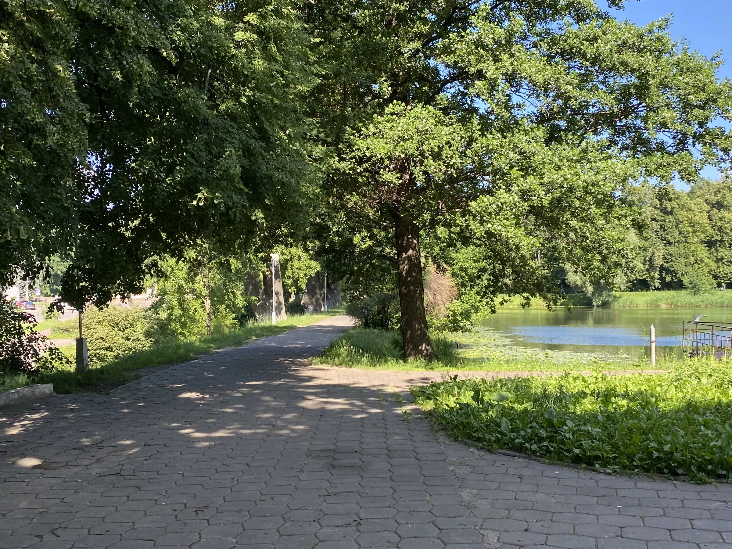 Парк у пруда с лилиями, фото 16