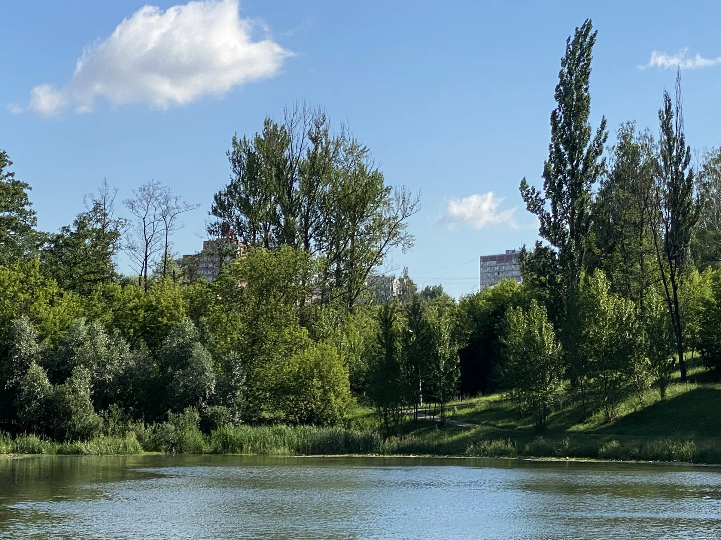 Парк у пруда с лилиями, фото 3