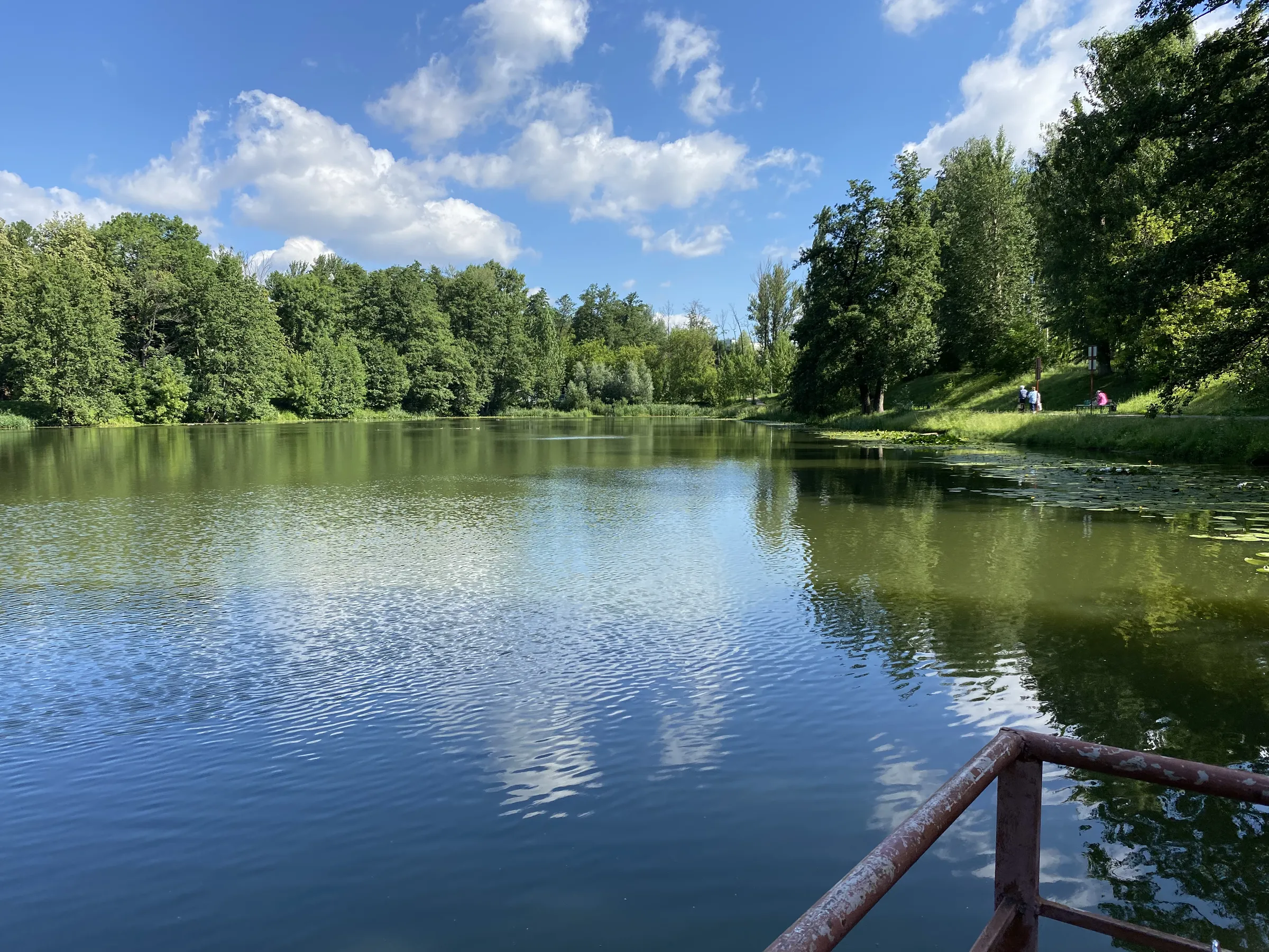 Парк у пруда с лилиями, фото 21