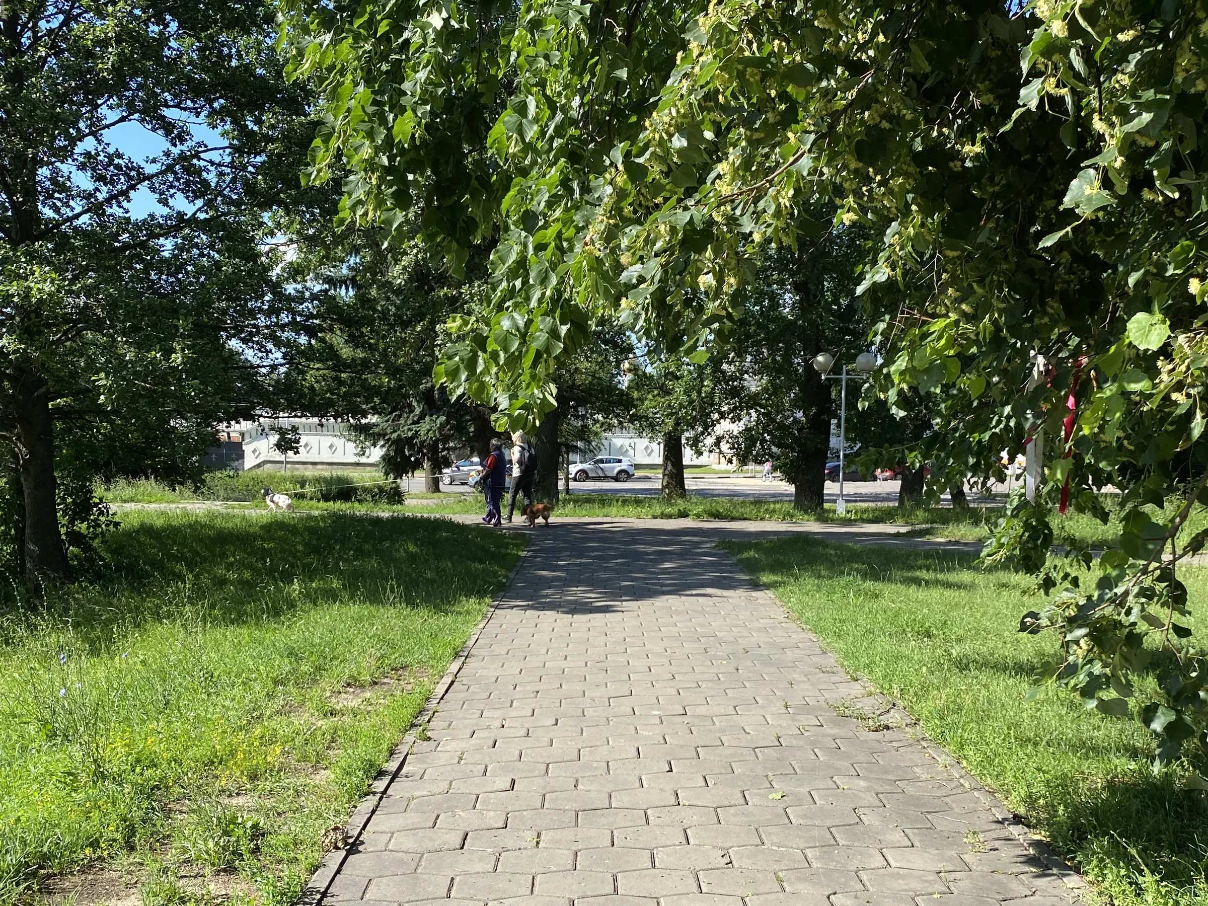 Парк у пруда с лилиями, фото 9