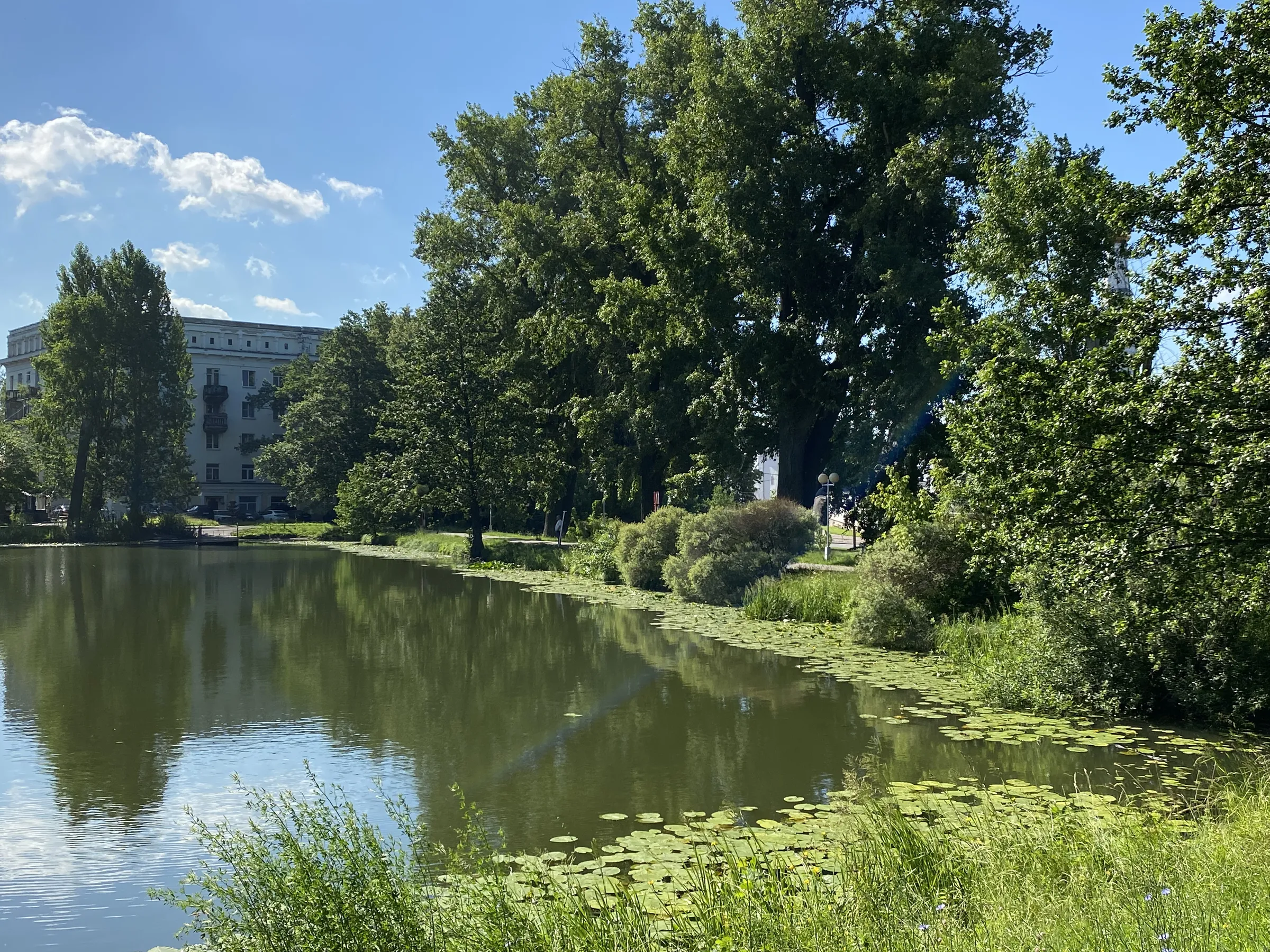 Парк у пруда с лилиями, фото 8