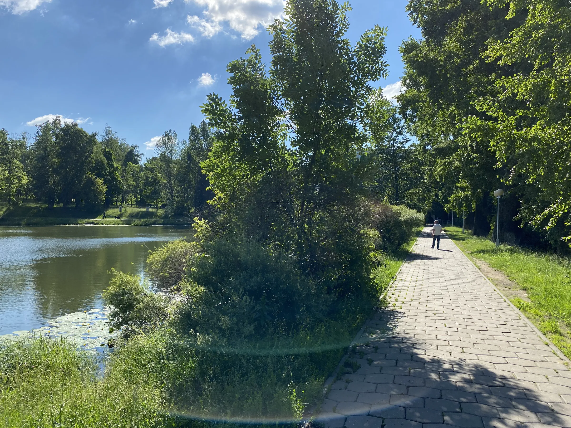 Парк у пруда с лилиями, фото 2