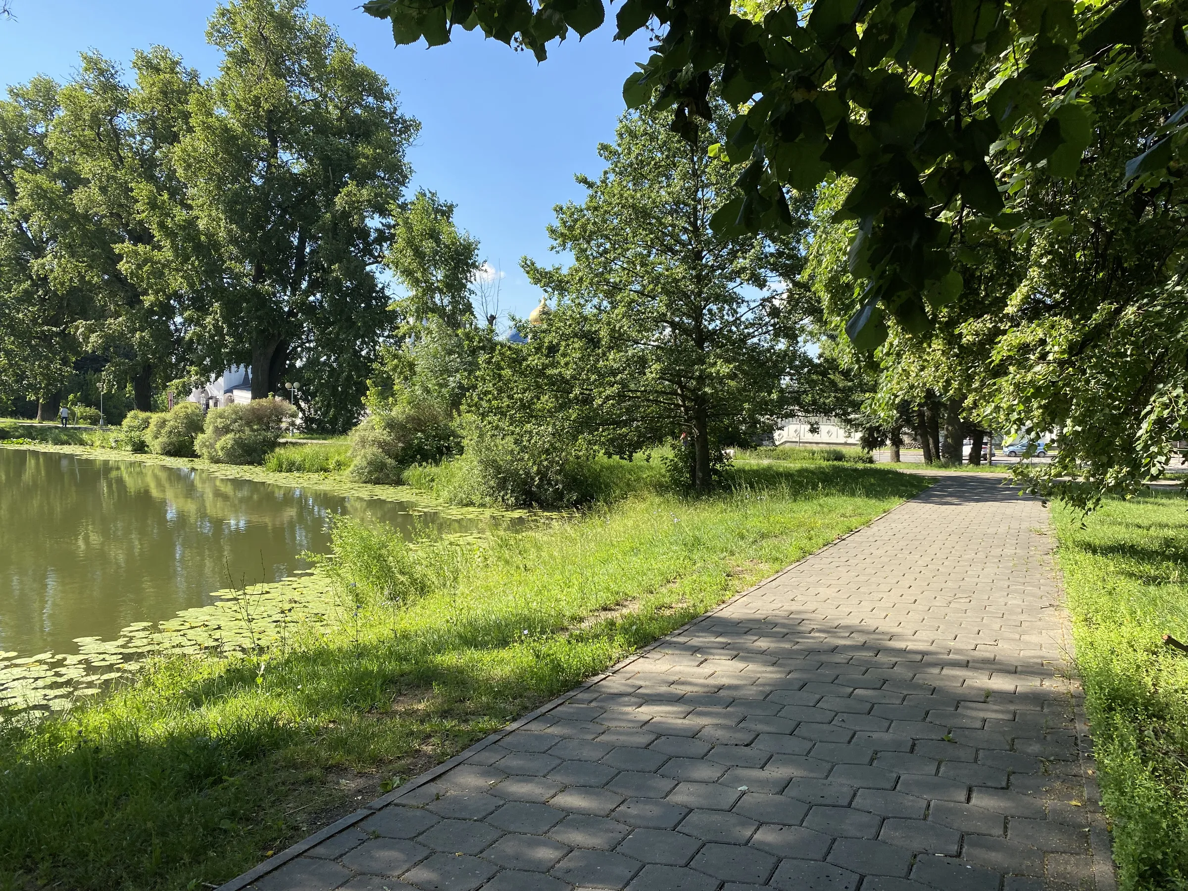 Парк у пруда с лилиями, фото 11