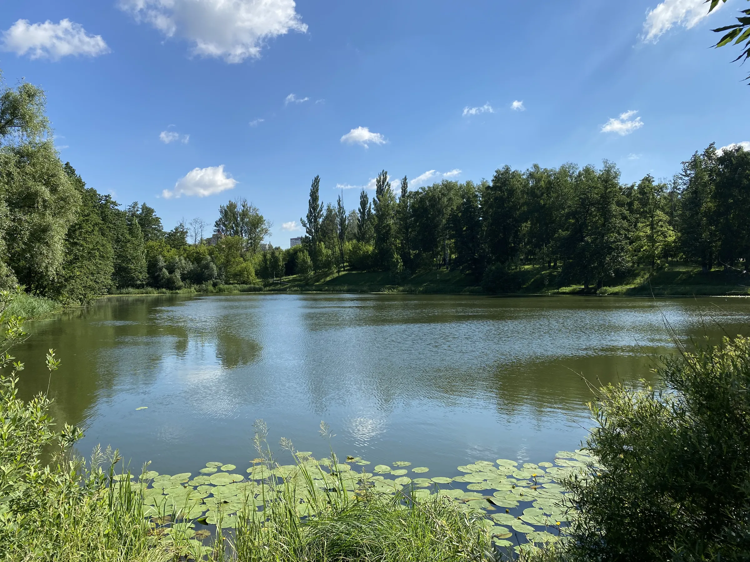 Парк у пруда с лилиями, фото 4