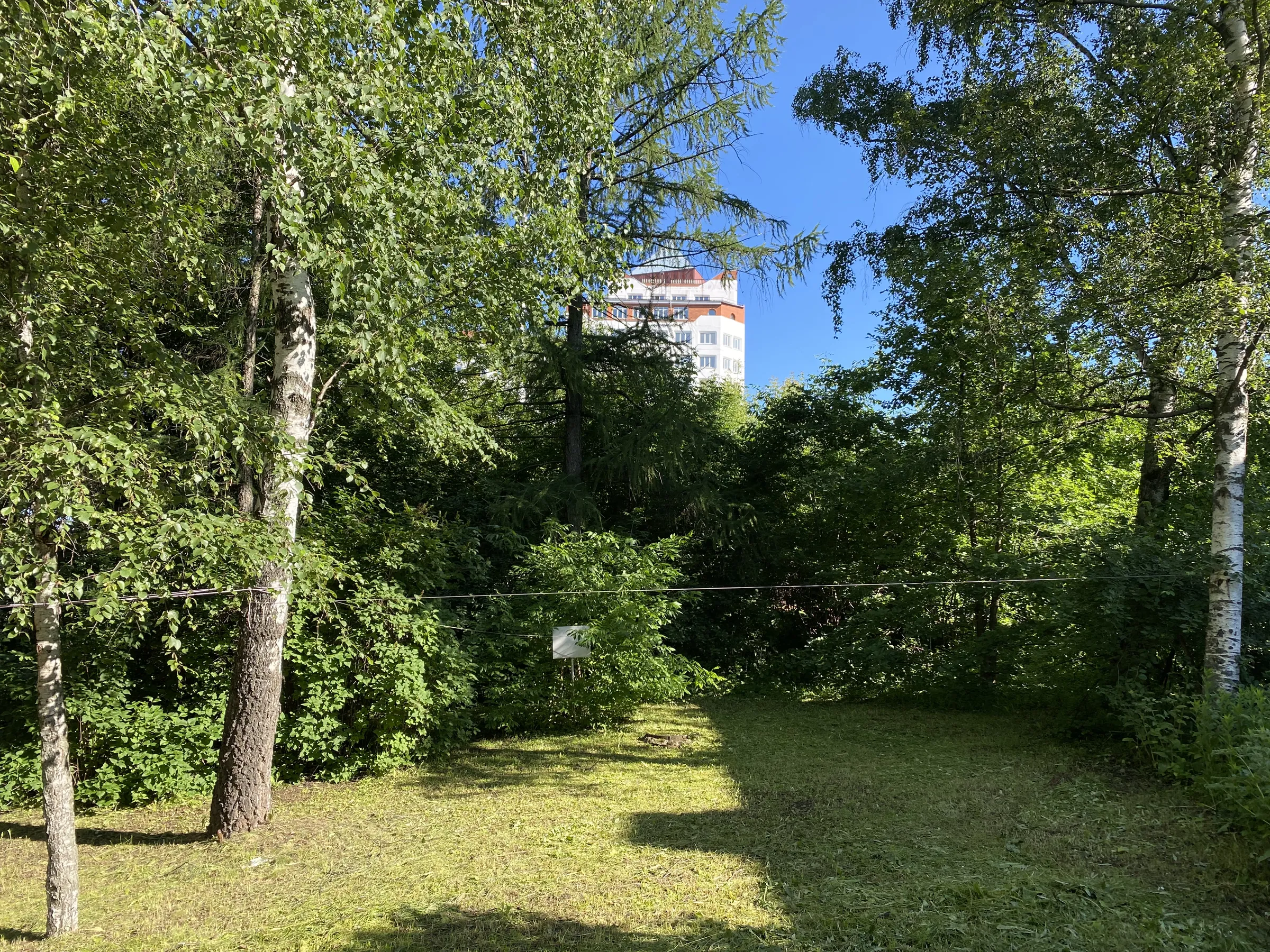 Бирюзовая сталинка, фото 13