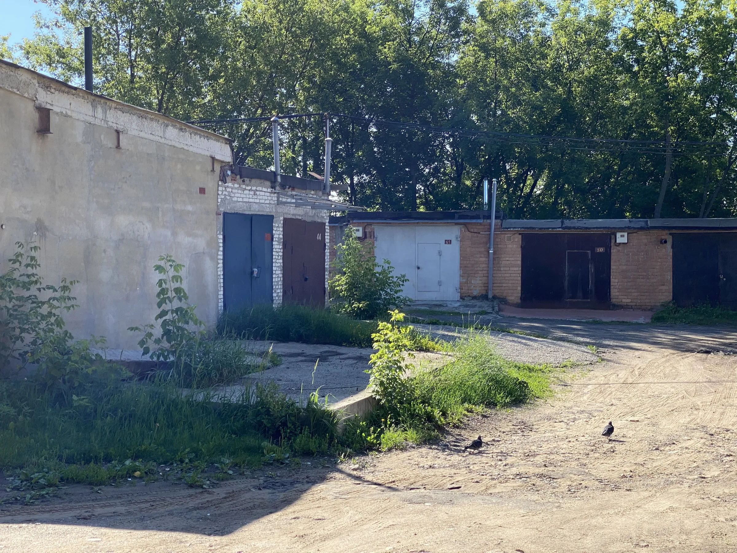 Жёлтый двор с зеленью, фото 11