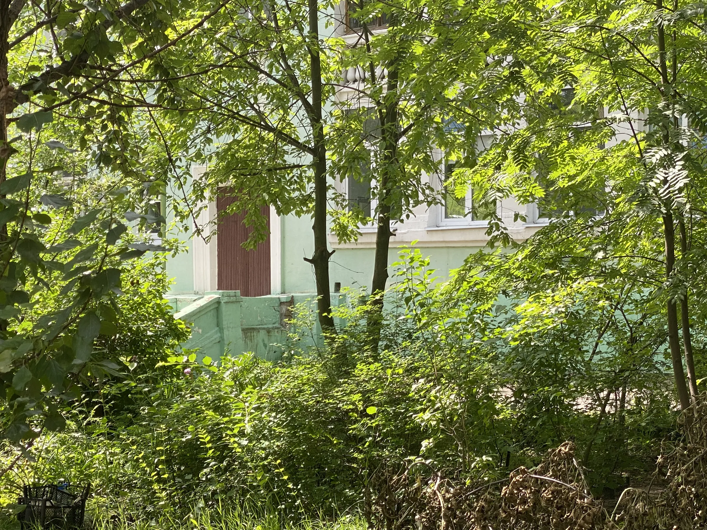 Двор сталинки, фото 21