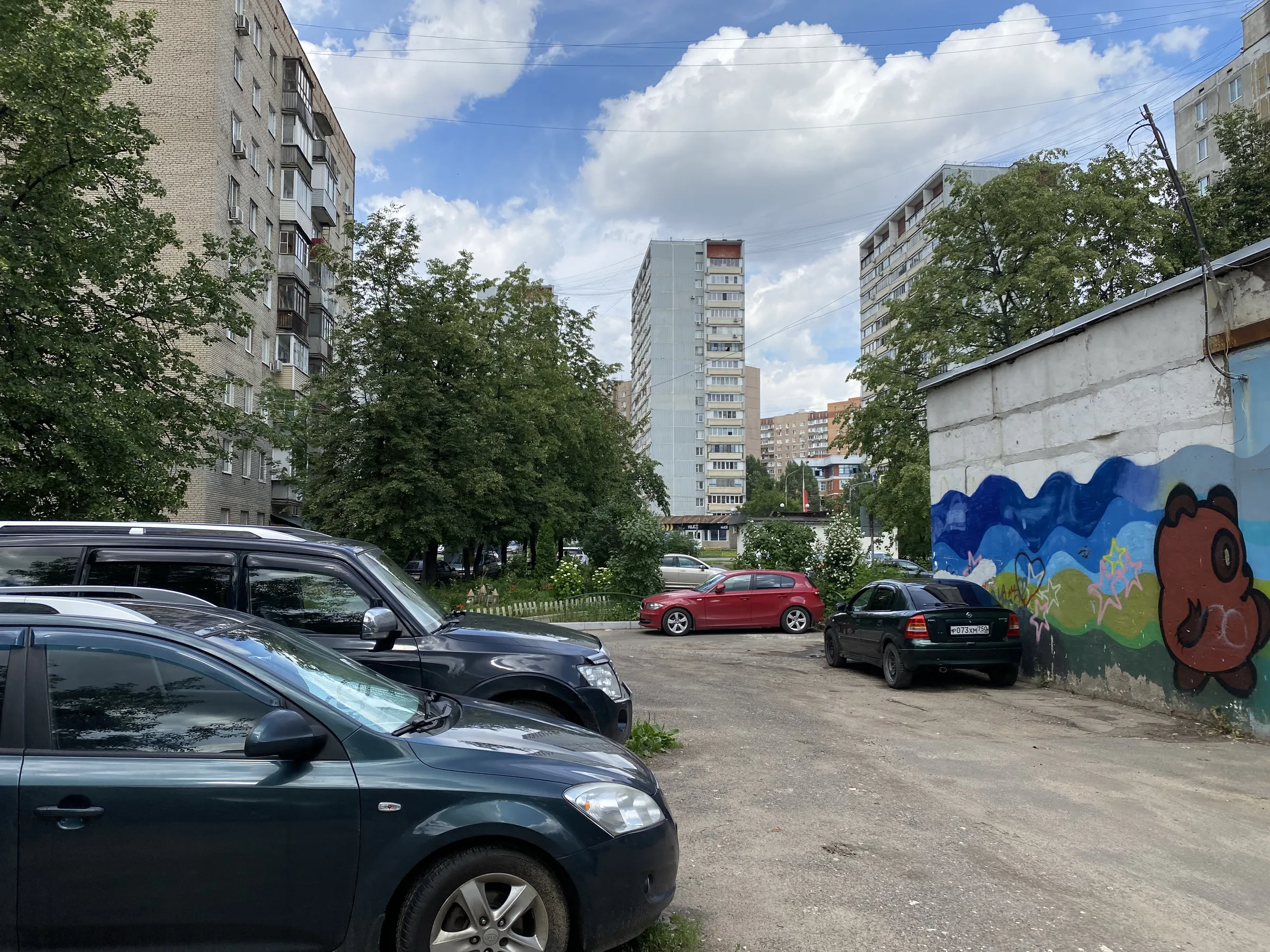 Панелька во дворе, фото 7