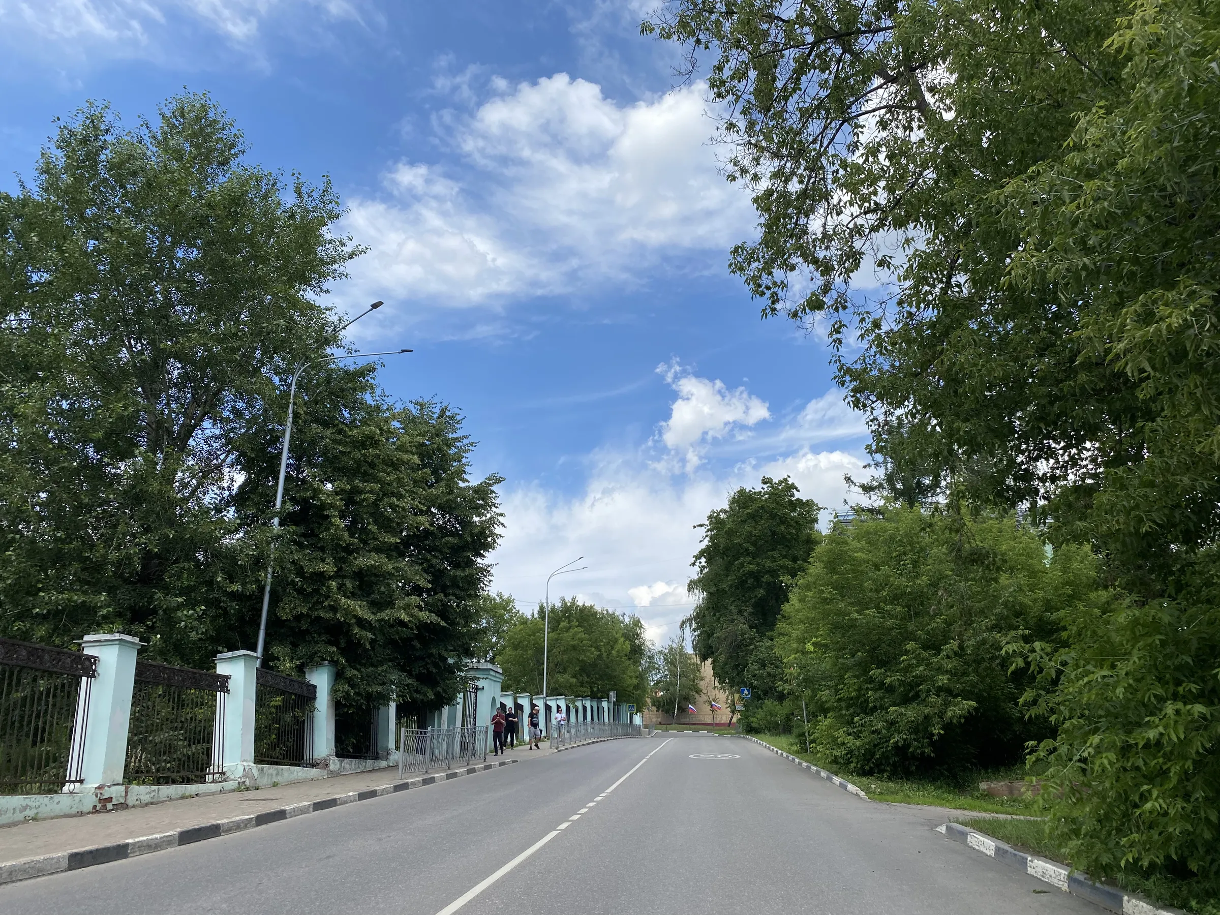 Парадный забор с арками, фото 2