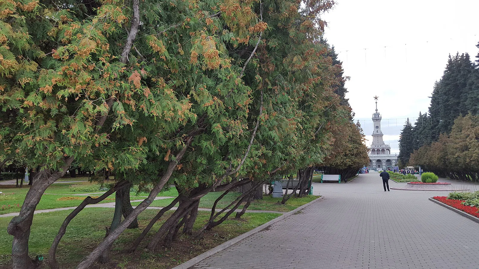 Парк с высоким шпилем, фото 1