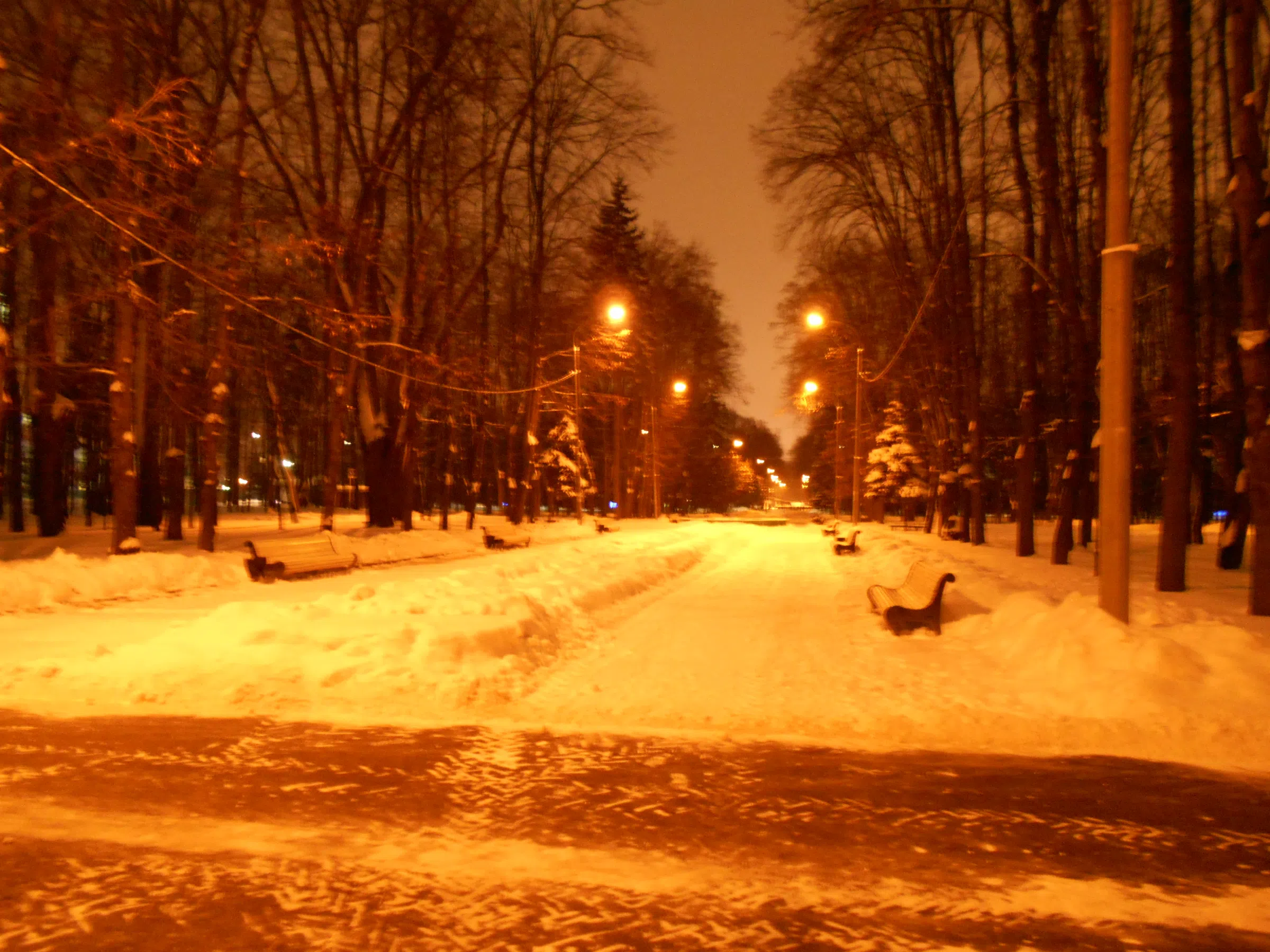 Парк с высоким шпилем, фото 8