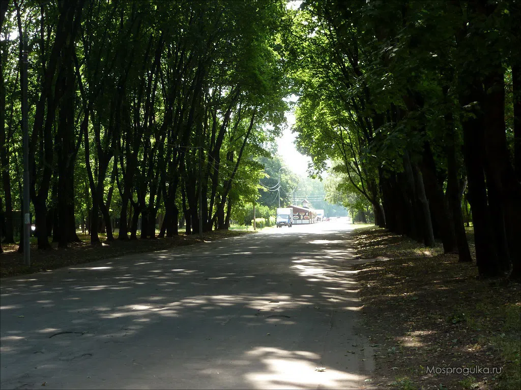 Парк с высоким шпилем, фото 5