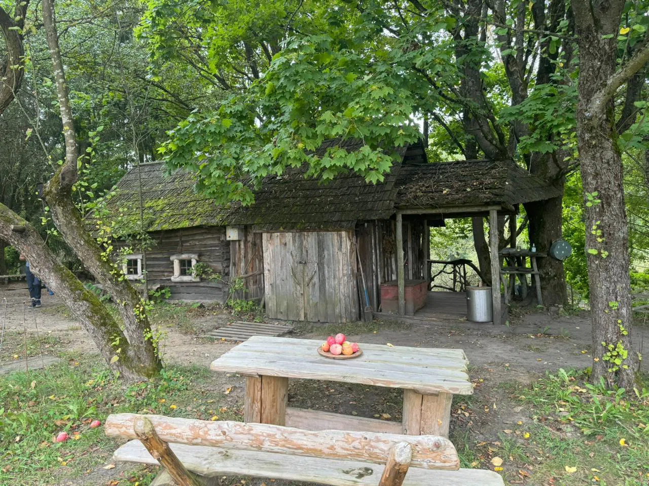 Деревенский комплекс у реки, фото 5