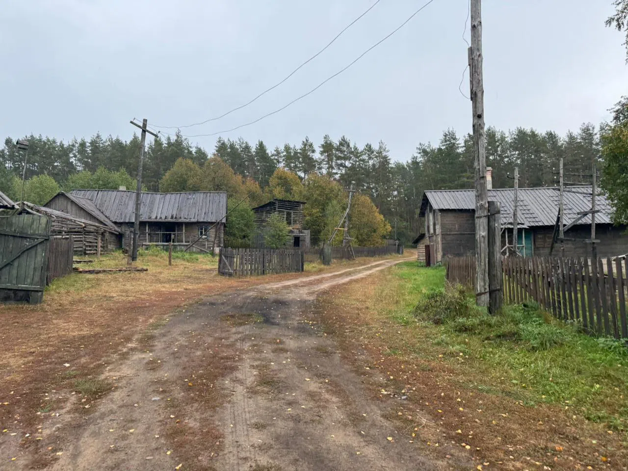 Лесная деревня на озере, фото 17
