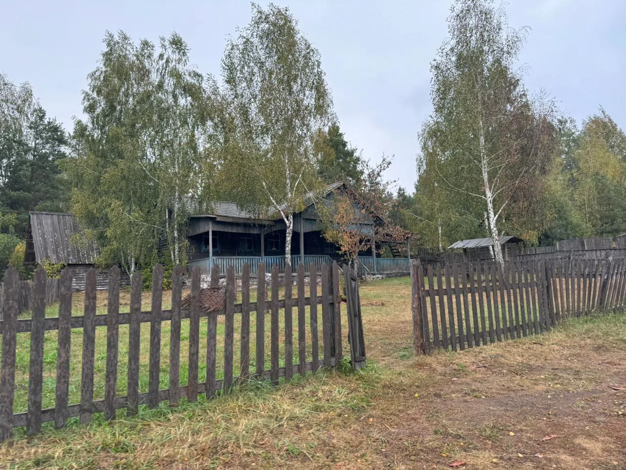 Лесная деревня на озере, фото 16
