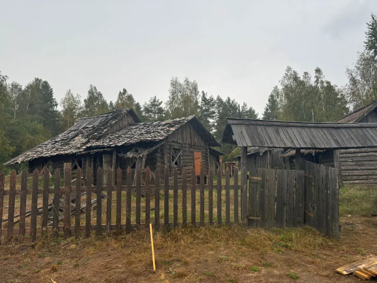 Лесная деревня на озере, фото 14