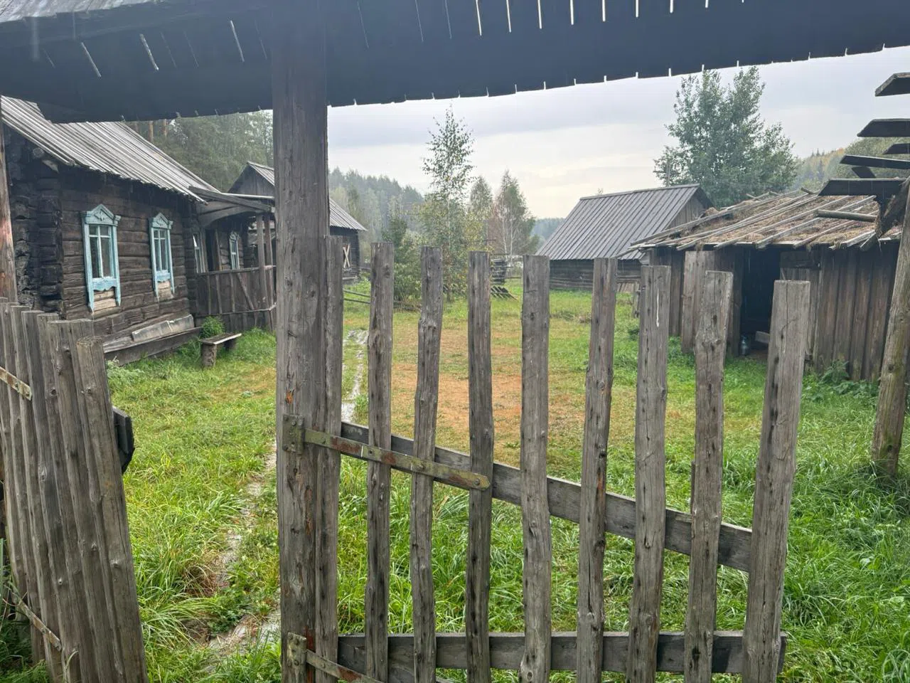 Лесная деревня на озере, фото 21