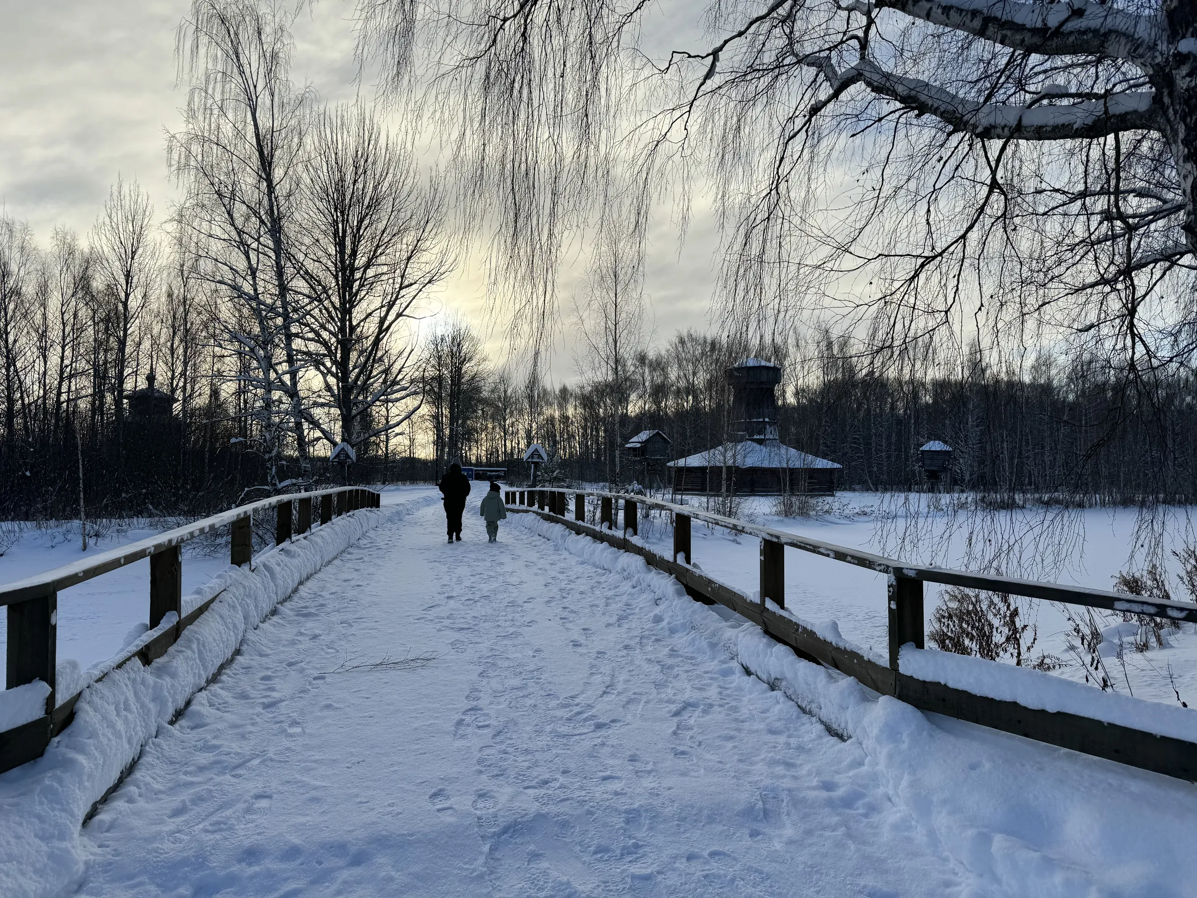 Музей деревянного зодчества, фото 19
