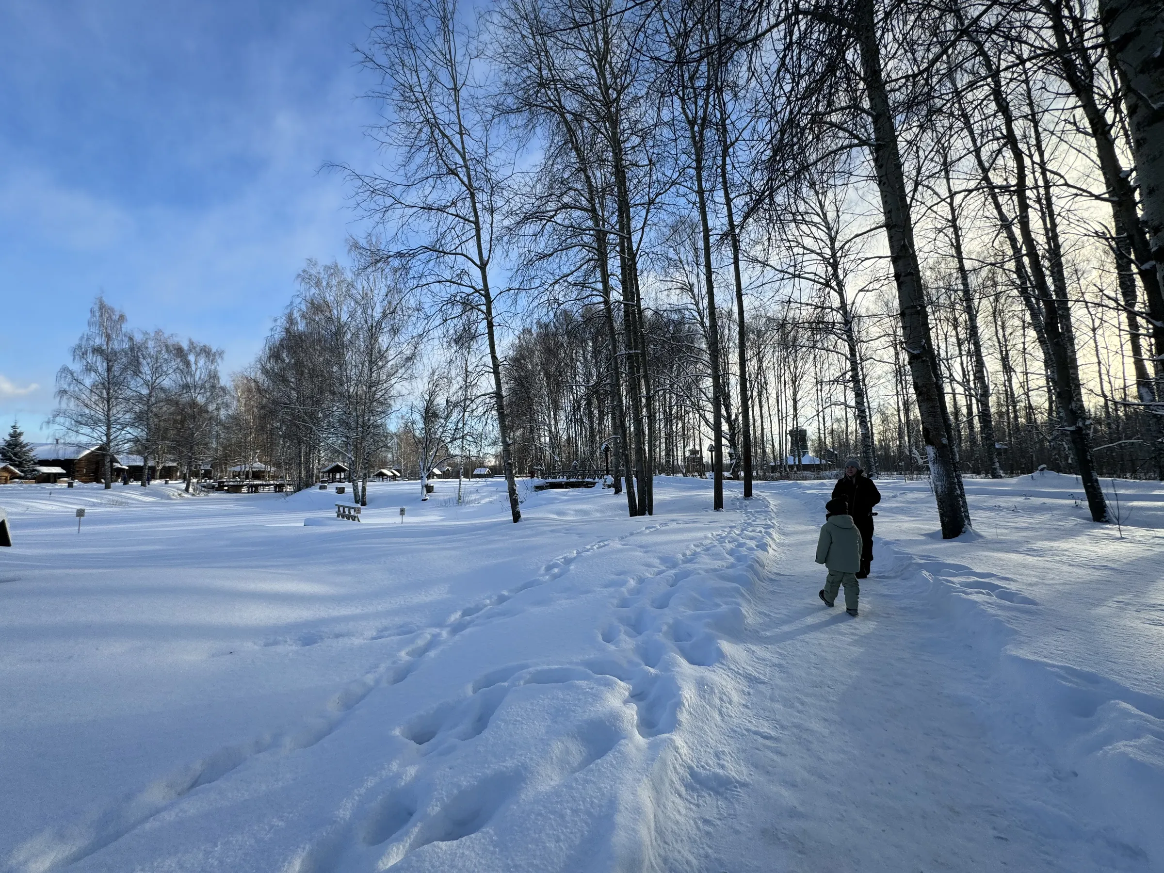 Музей деревянного зодчества, фото 16
