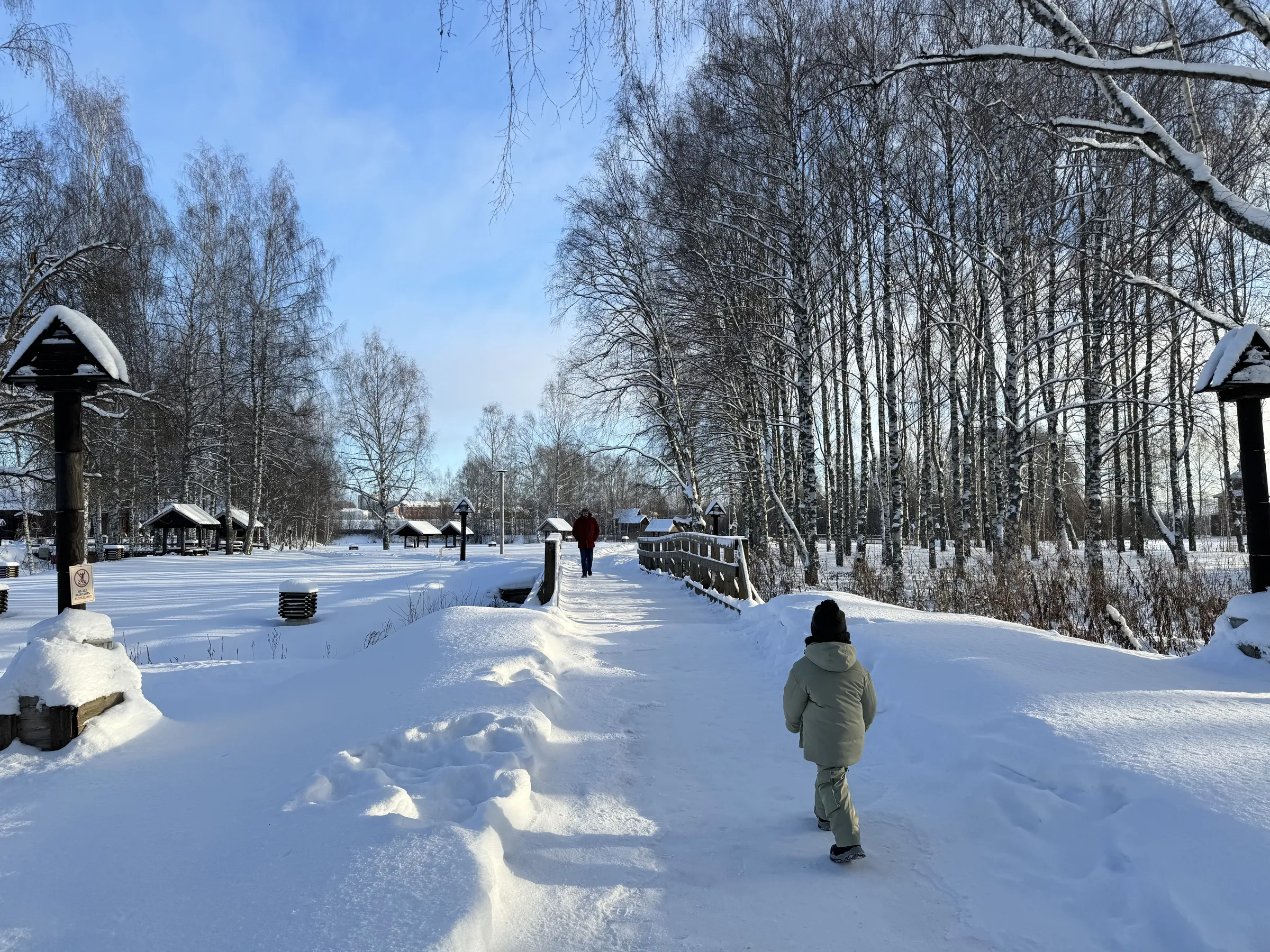 Музей деревянного зодчества, фото 17