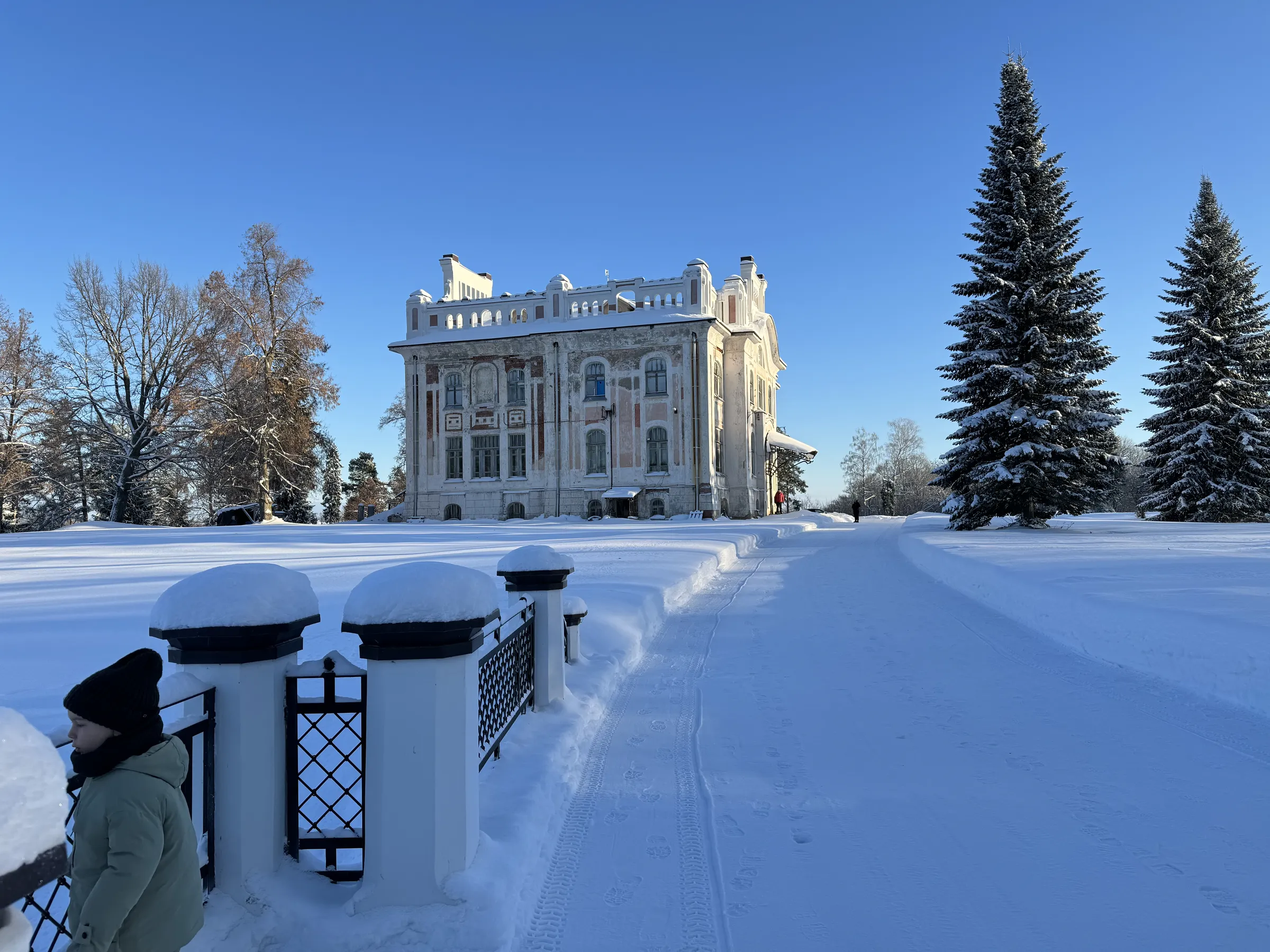 Заброшенная зимняя усадьба, фото 11