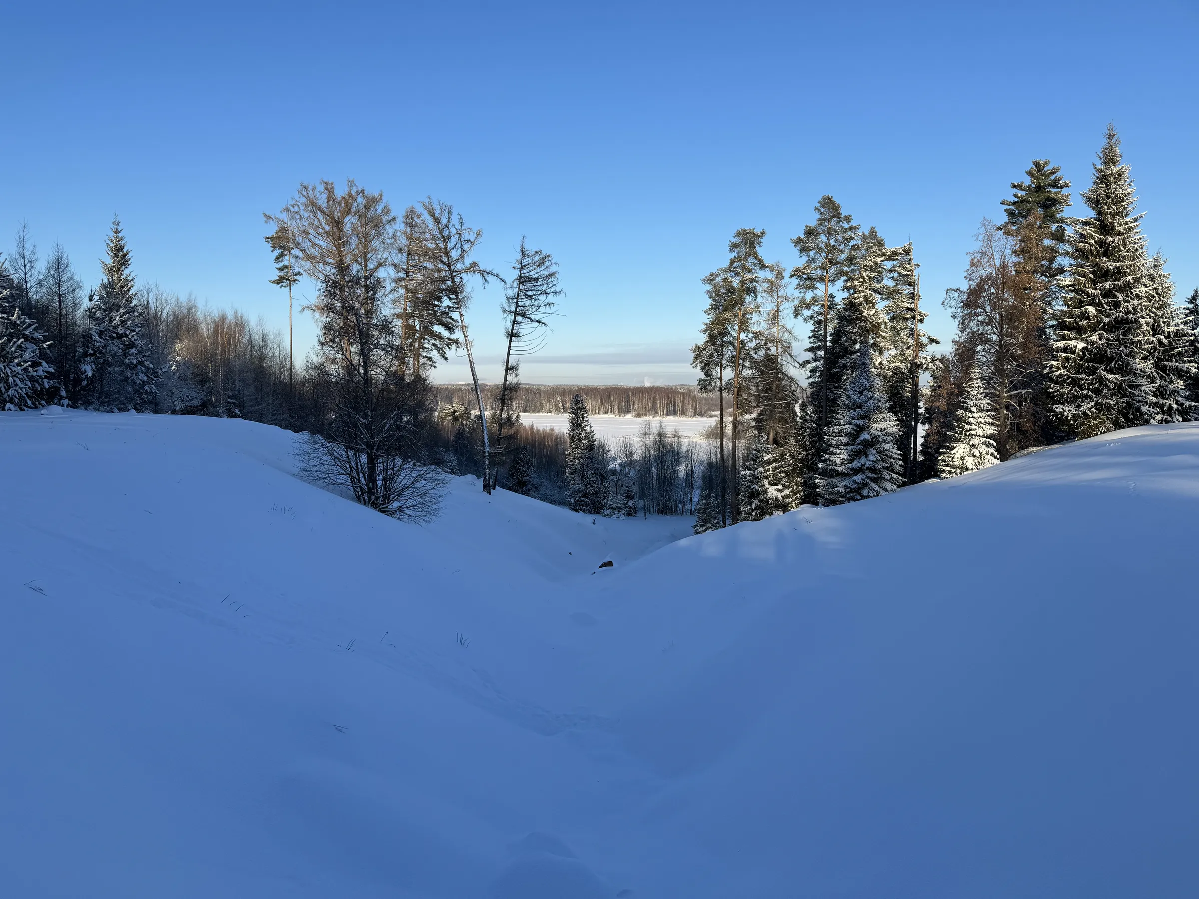 Заброшенная зимняя усадьба, фото 10