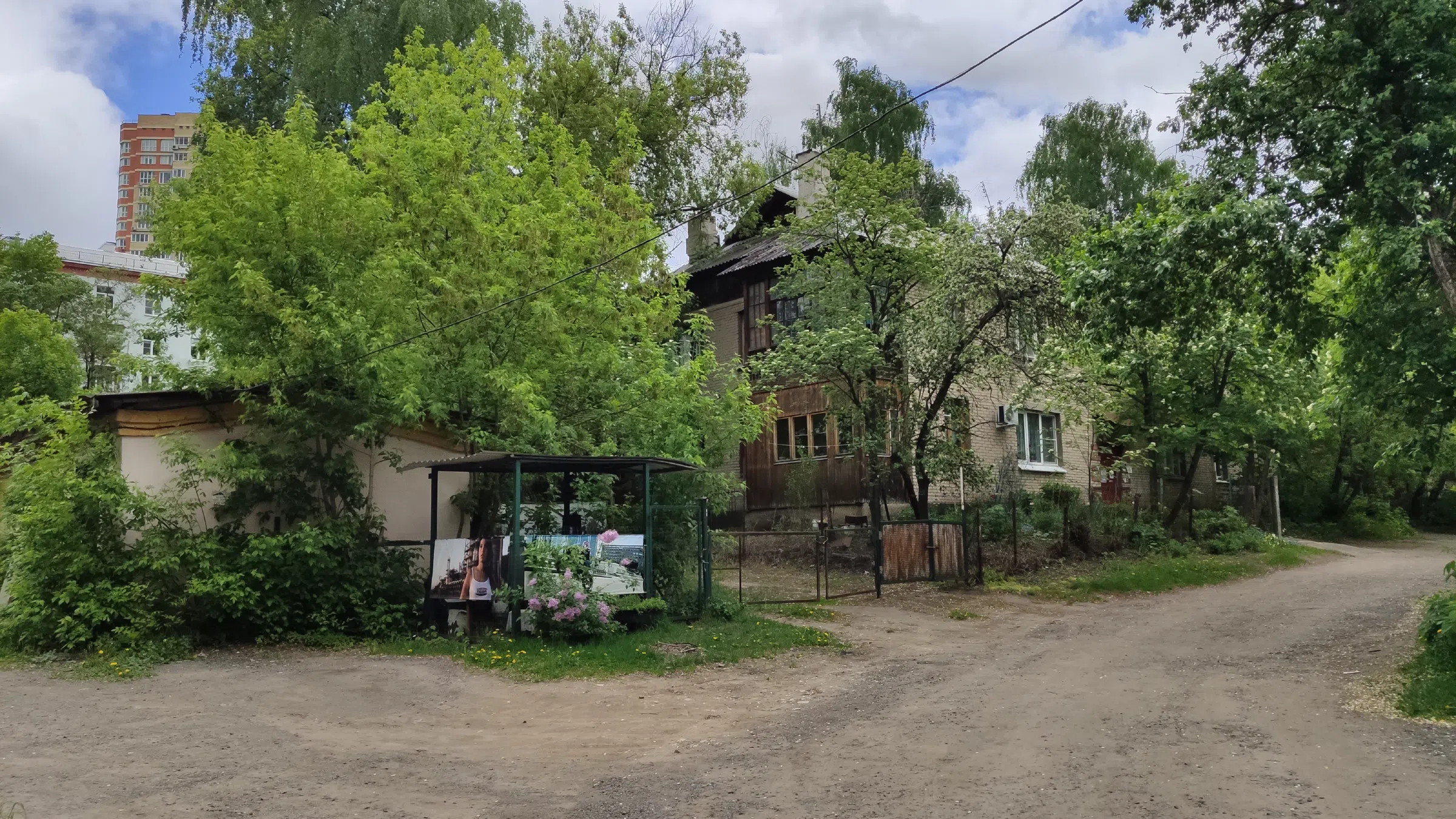 Деревенский дом с резьбой, фото 18