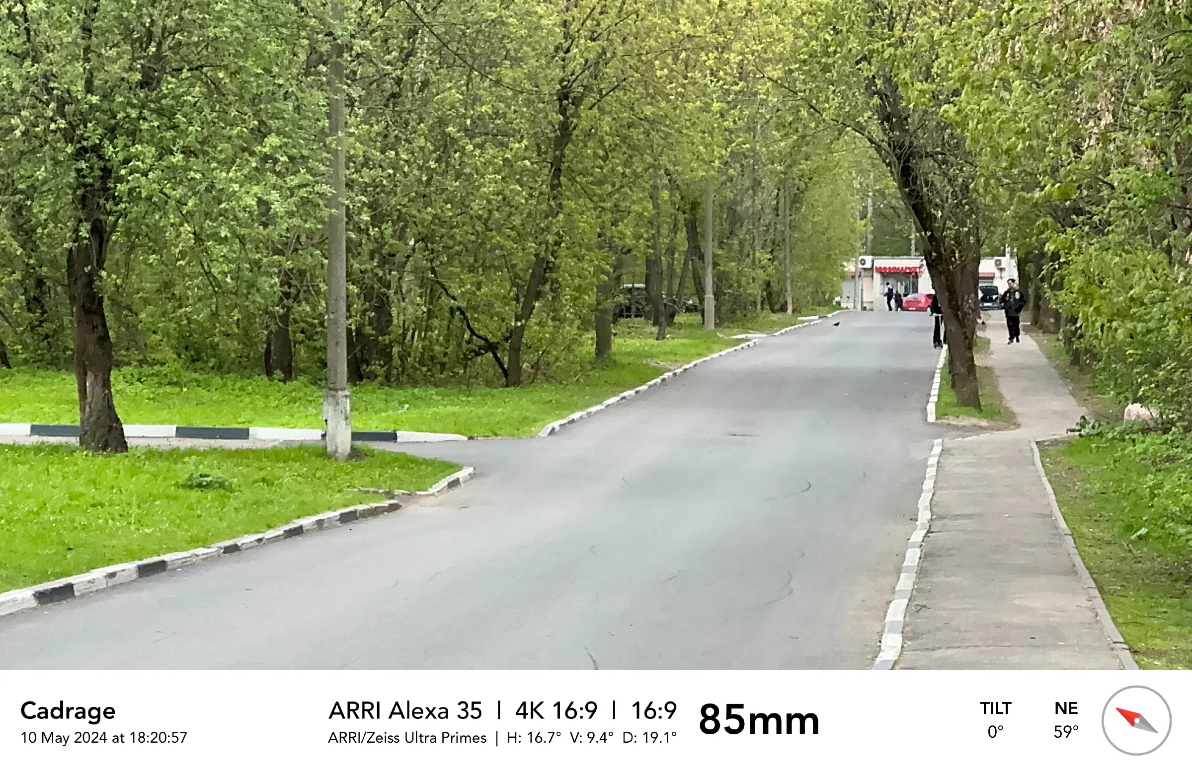 Парк у пруда с мостом, фото 2