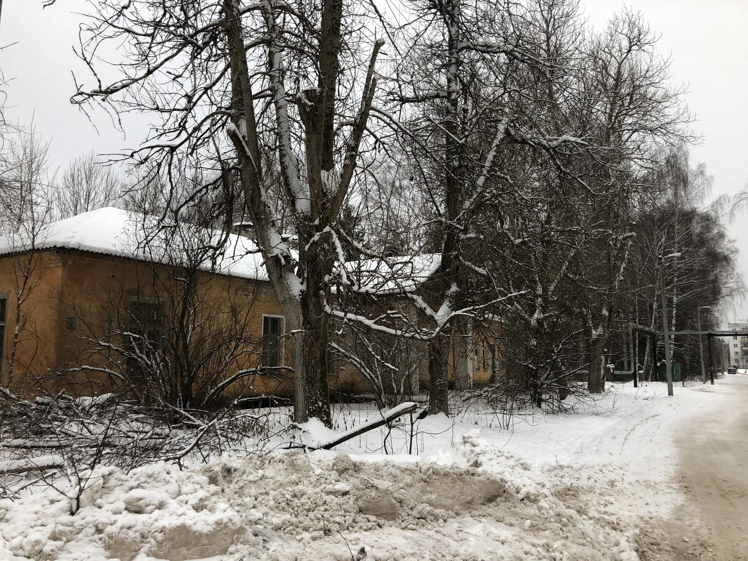 Заброшенный поселок при заводе, фото 10