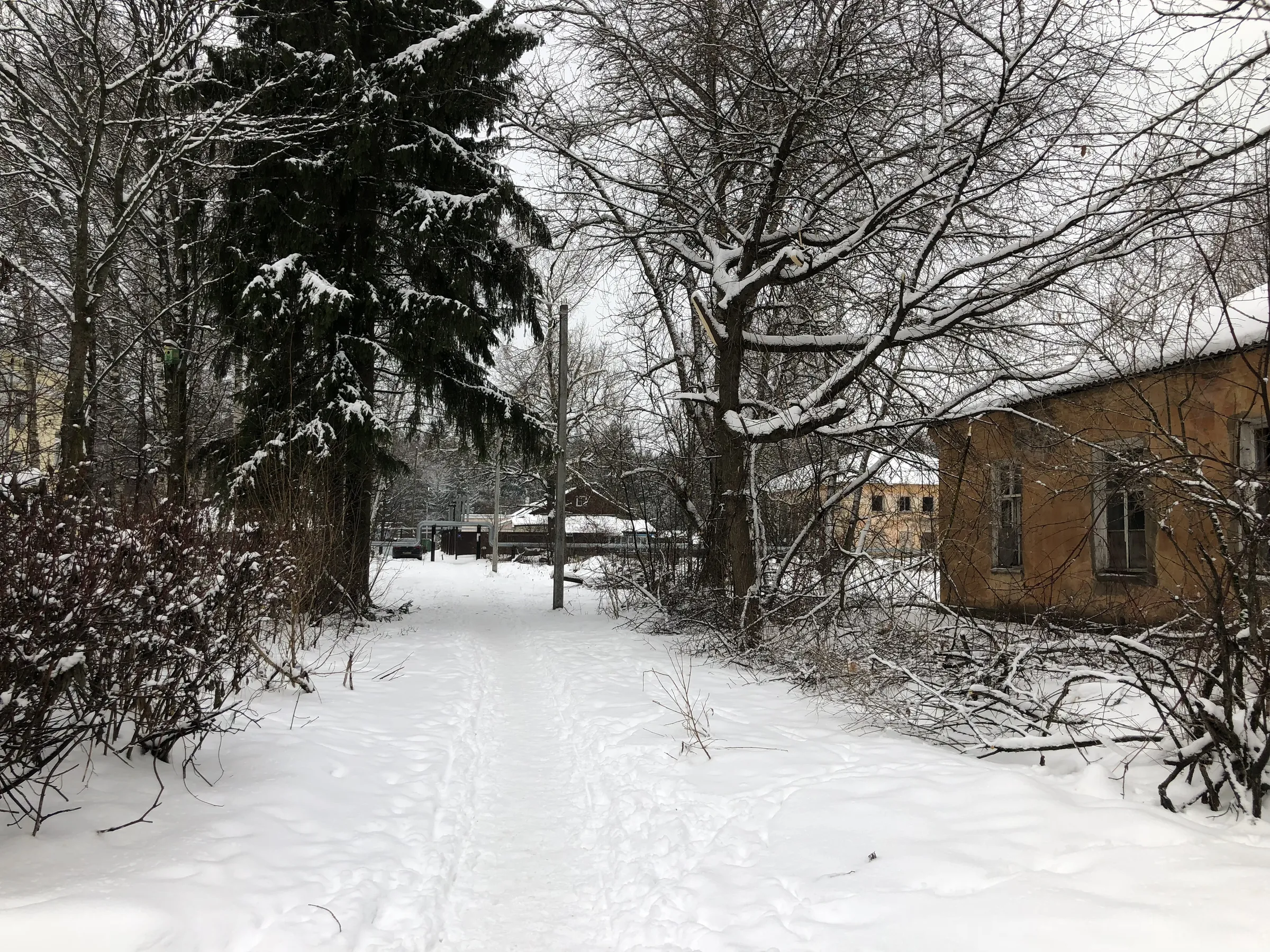 Заброшенный поселок при заводе, фото 7
