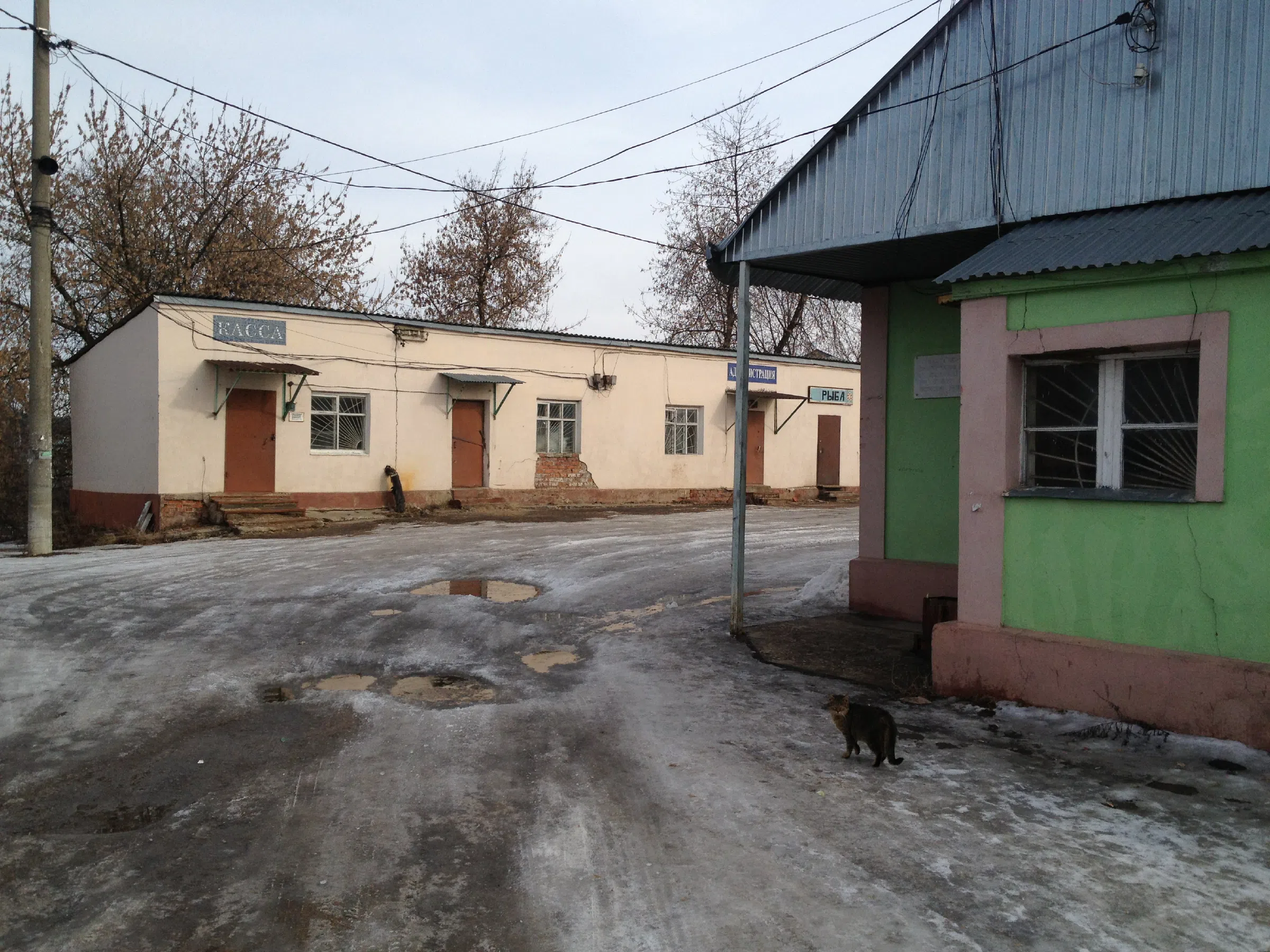Дача у реки с храмом, фото 22