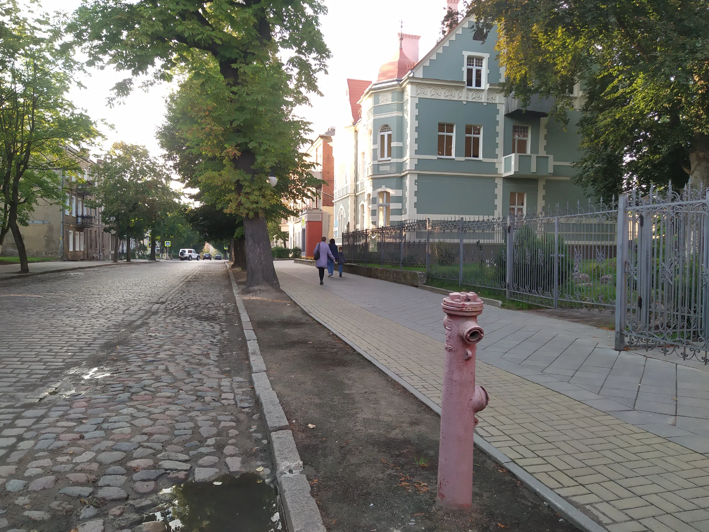 Резной особняк начала века, фото 18