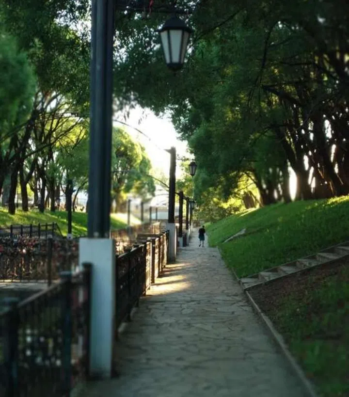 Каналы и зелёные берега, фото 7