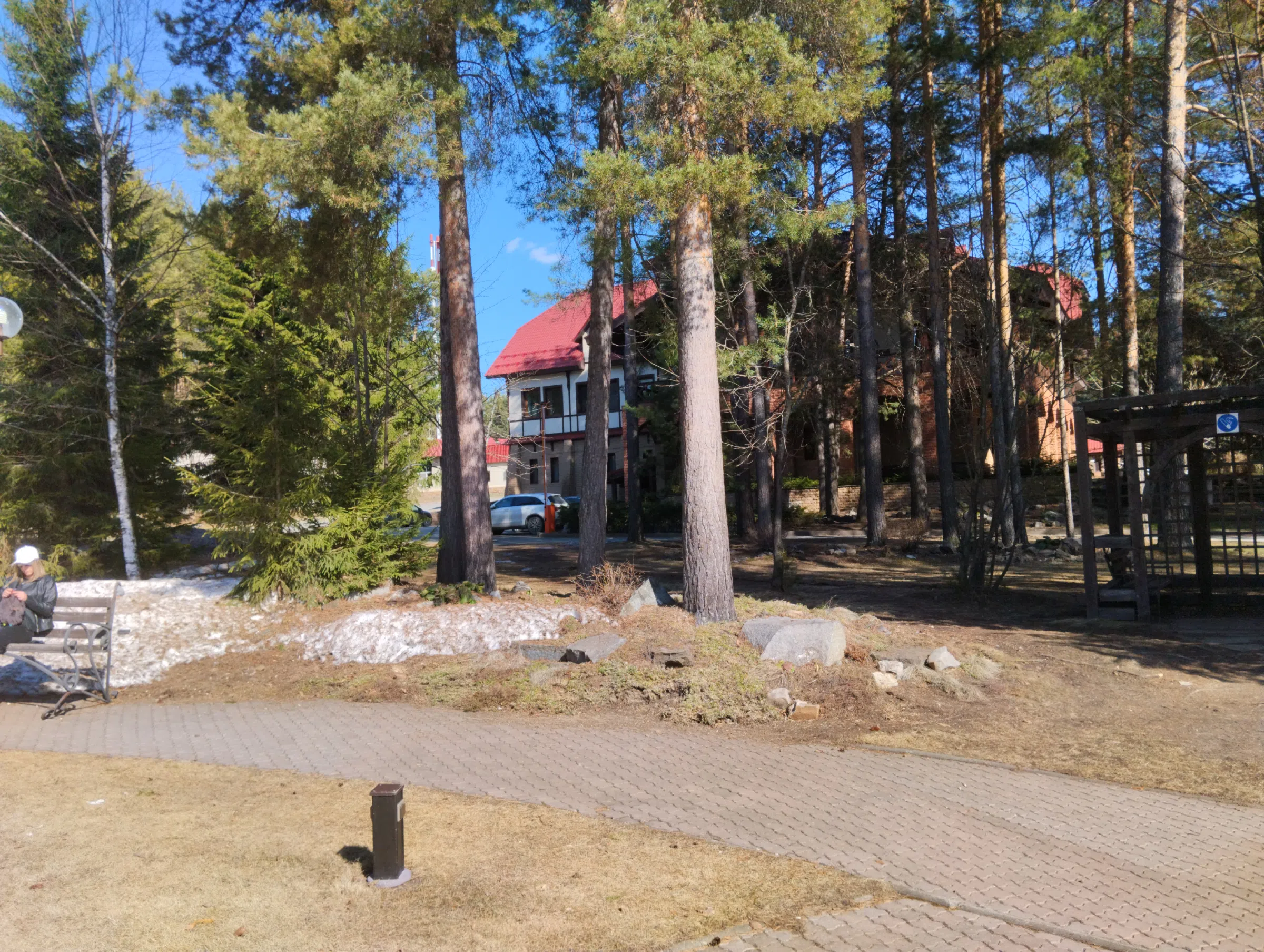 Сосновый лес с дорожками, фото 6