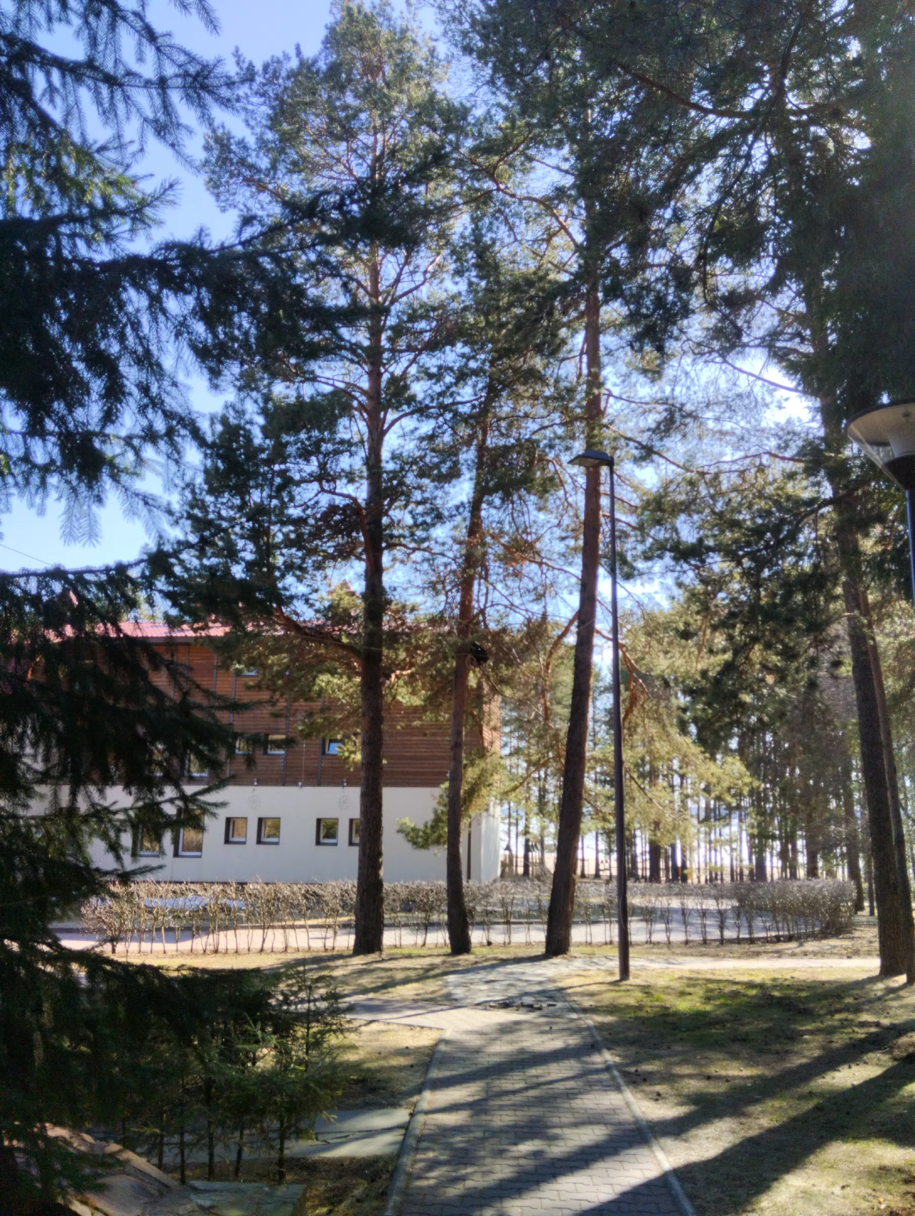 Сосновый Дом У Дороги, фото 4