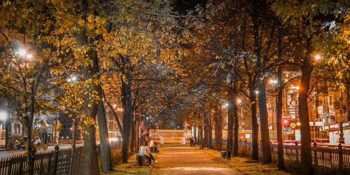Бульвар с ночной подсветкой, фото 7