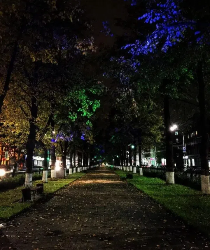 Бульвар с ночной подсветкой, фото 2
