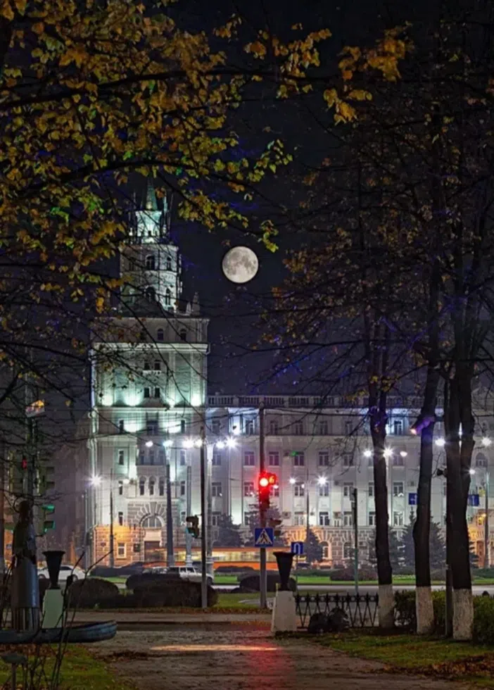 Бульвар с ночной подсветкой, фото 1