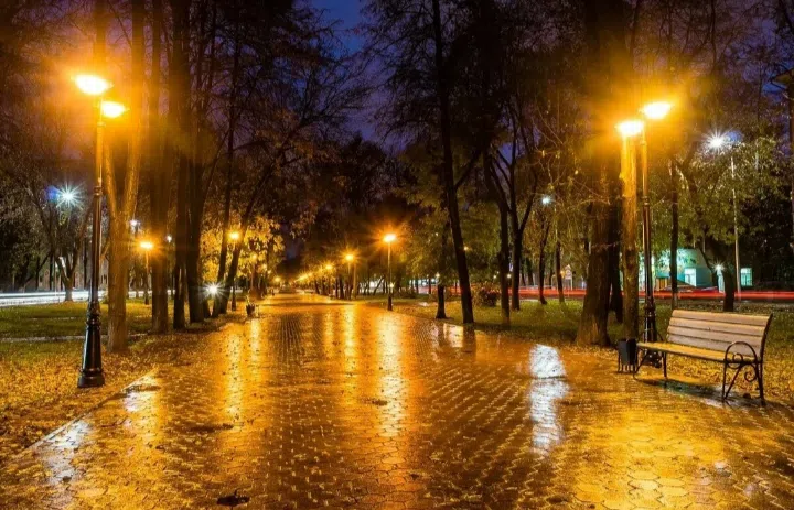 Бульвар с ночной подсветкой, фото 5
