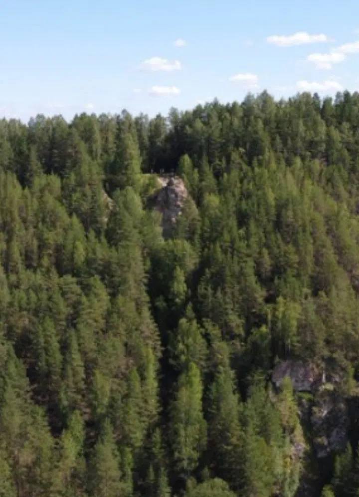 Панорама речной излучины, фото 3